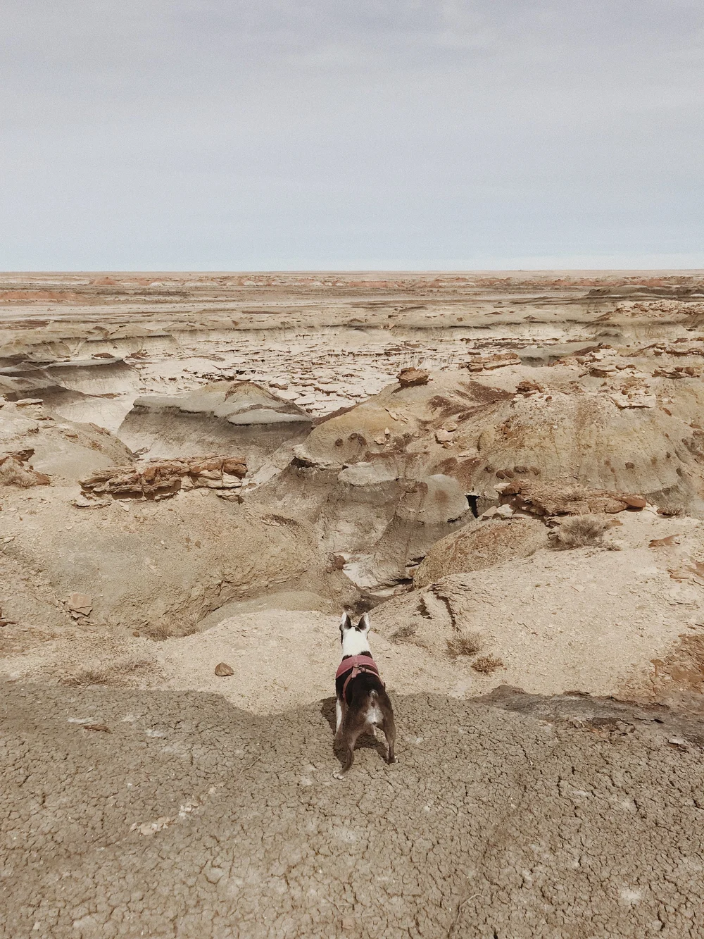 Road Trip Guide to Arizona and New Mexico // Laura Goldenberger