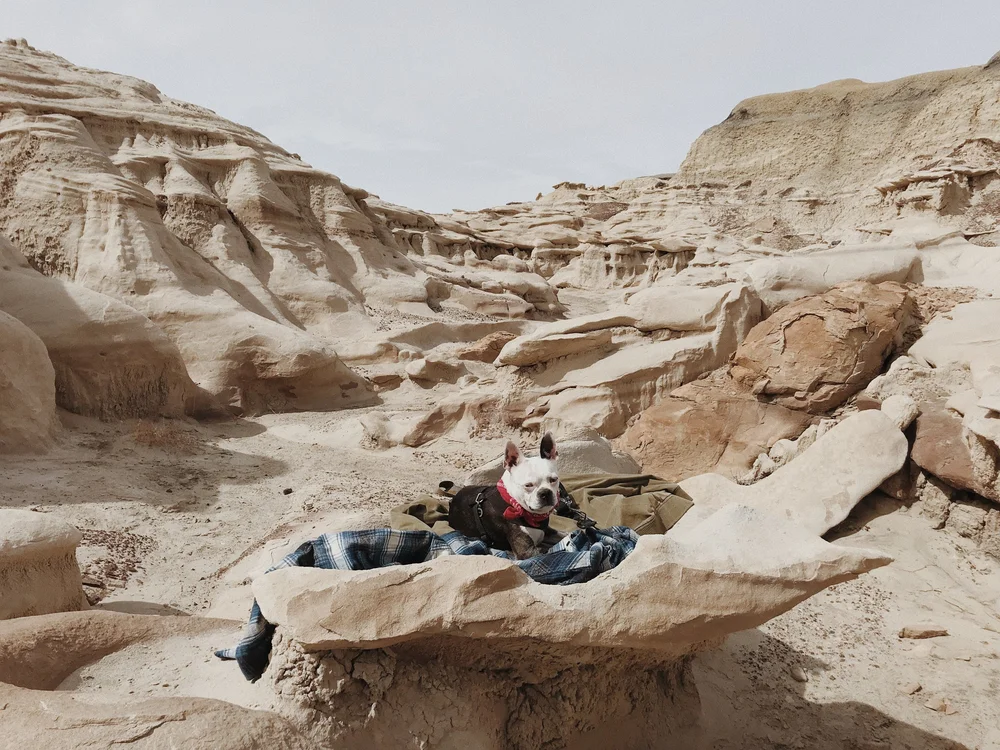 Road Trip Guide to Arizona and New Mexico // Laura Goldenberger