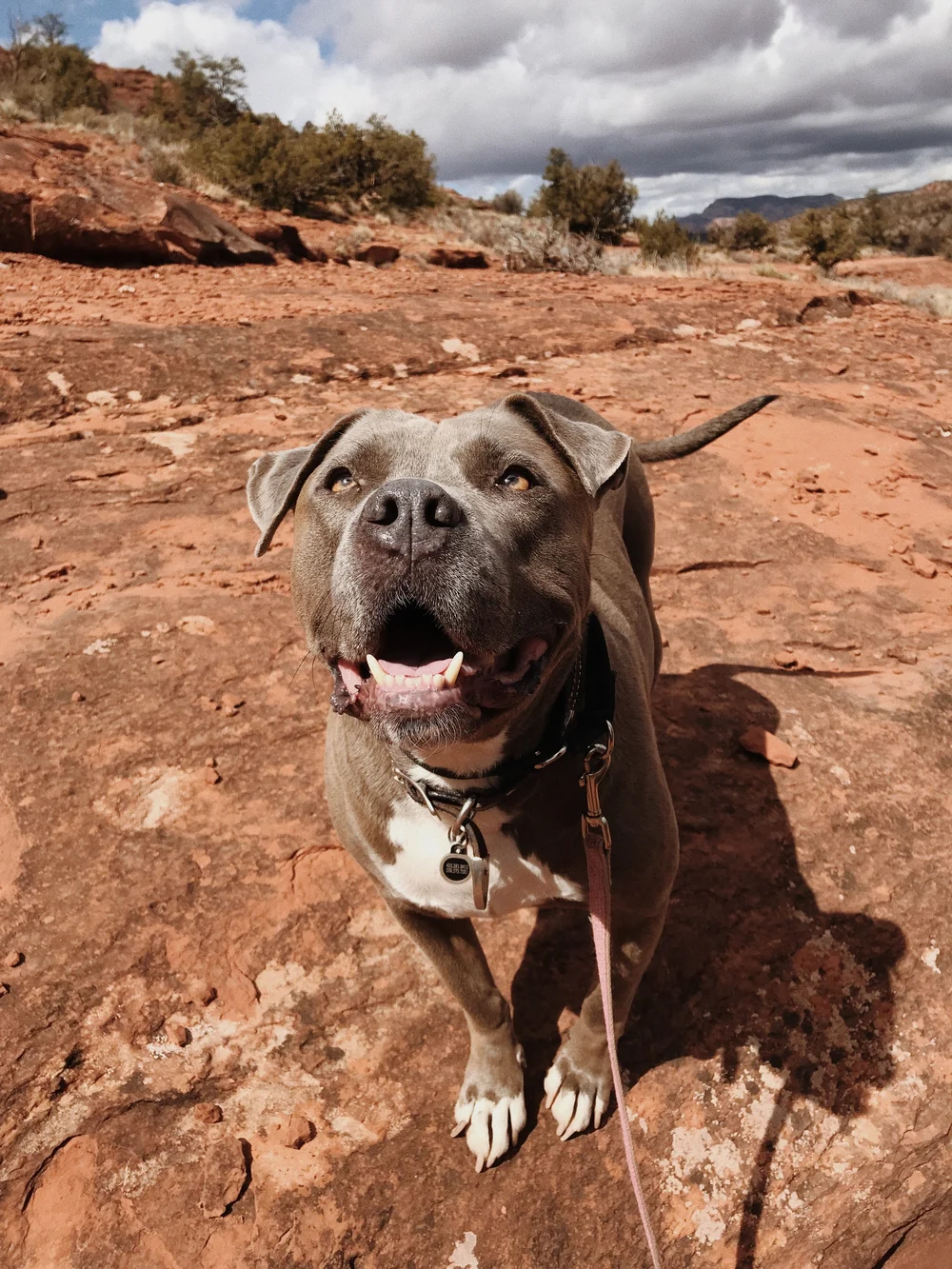 Road Trip Guide to Arizona and New Mexico // Laura Goldenberger