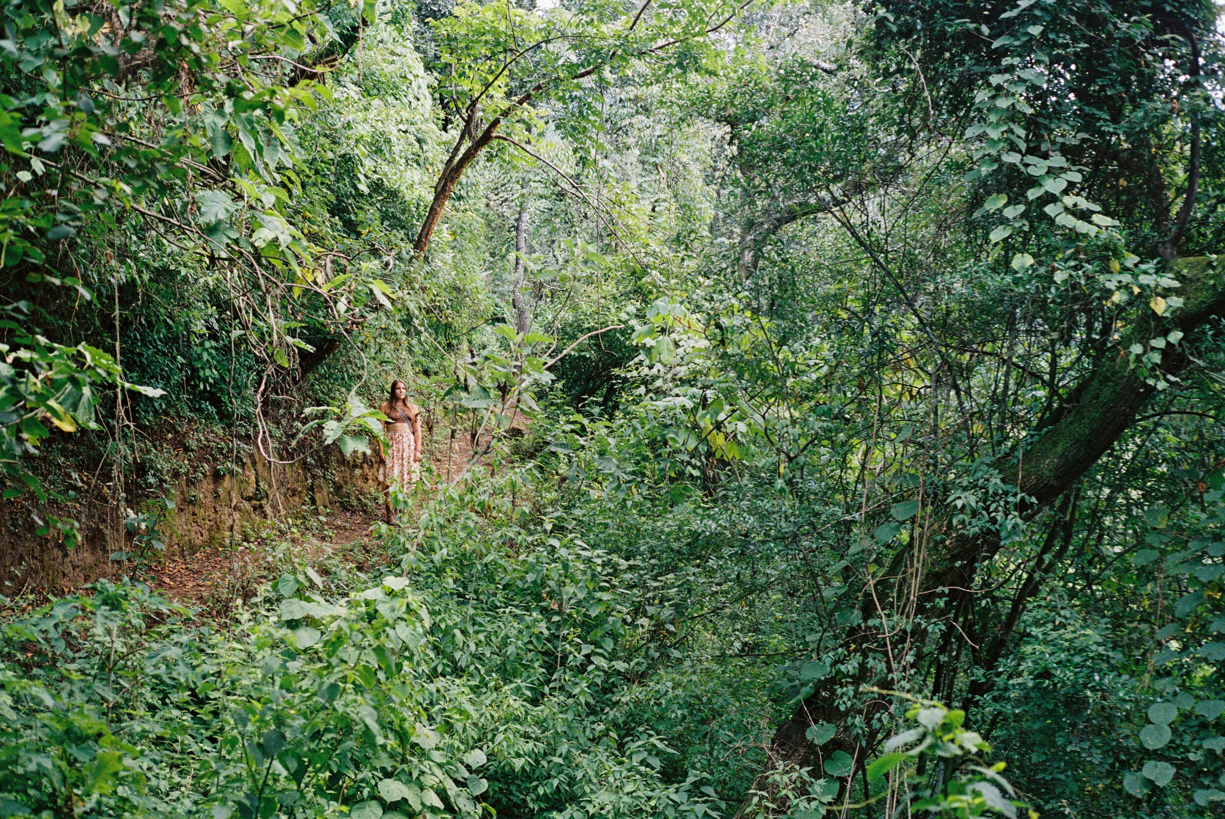 1036140-R1-004-0A (1).jpg