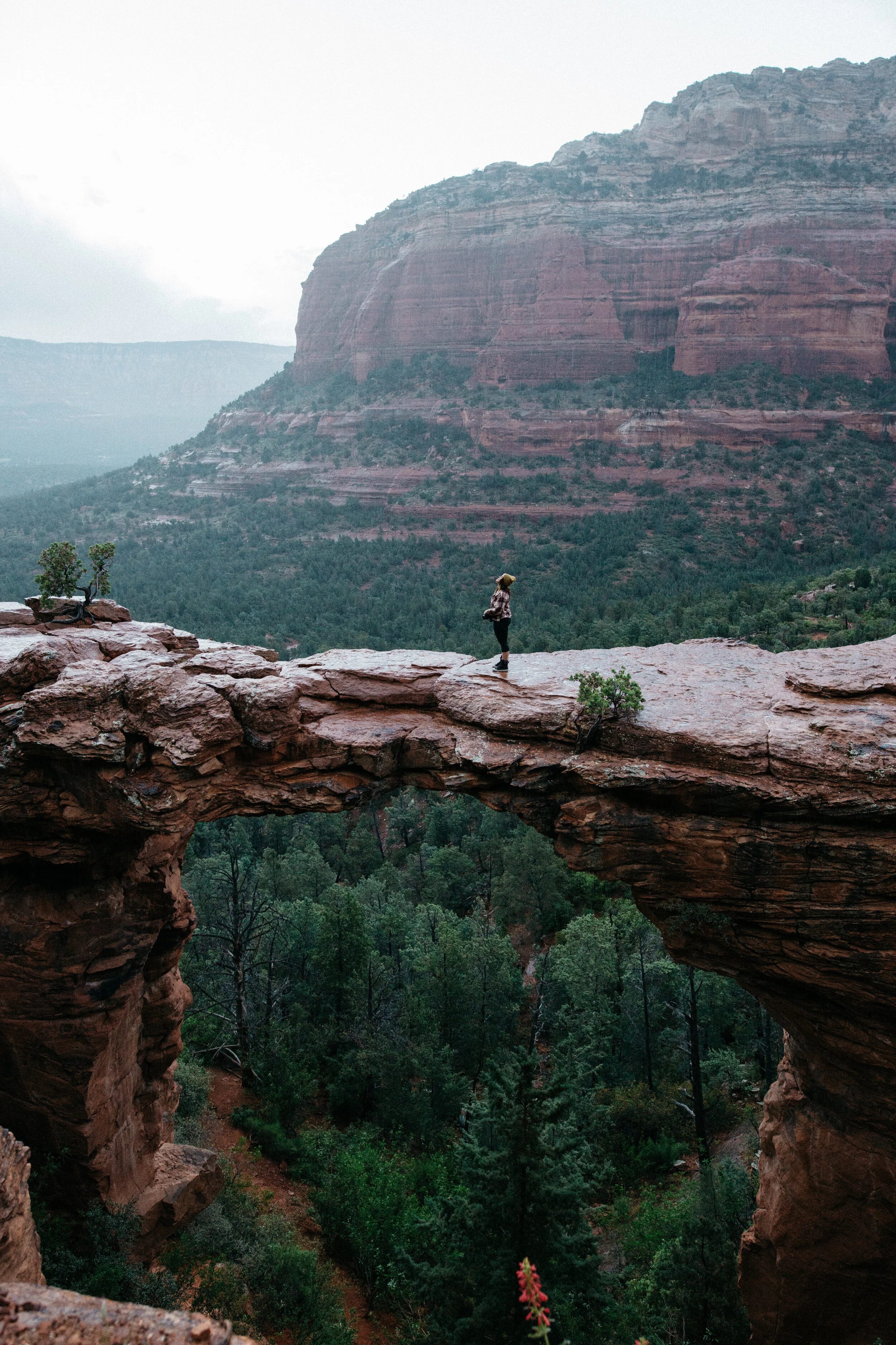 Laura Goldenberger Stay Wild_-65.jpg