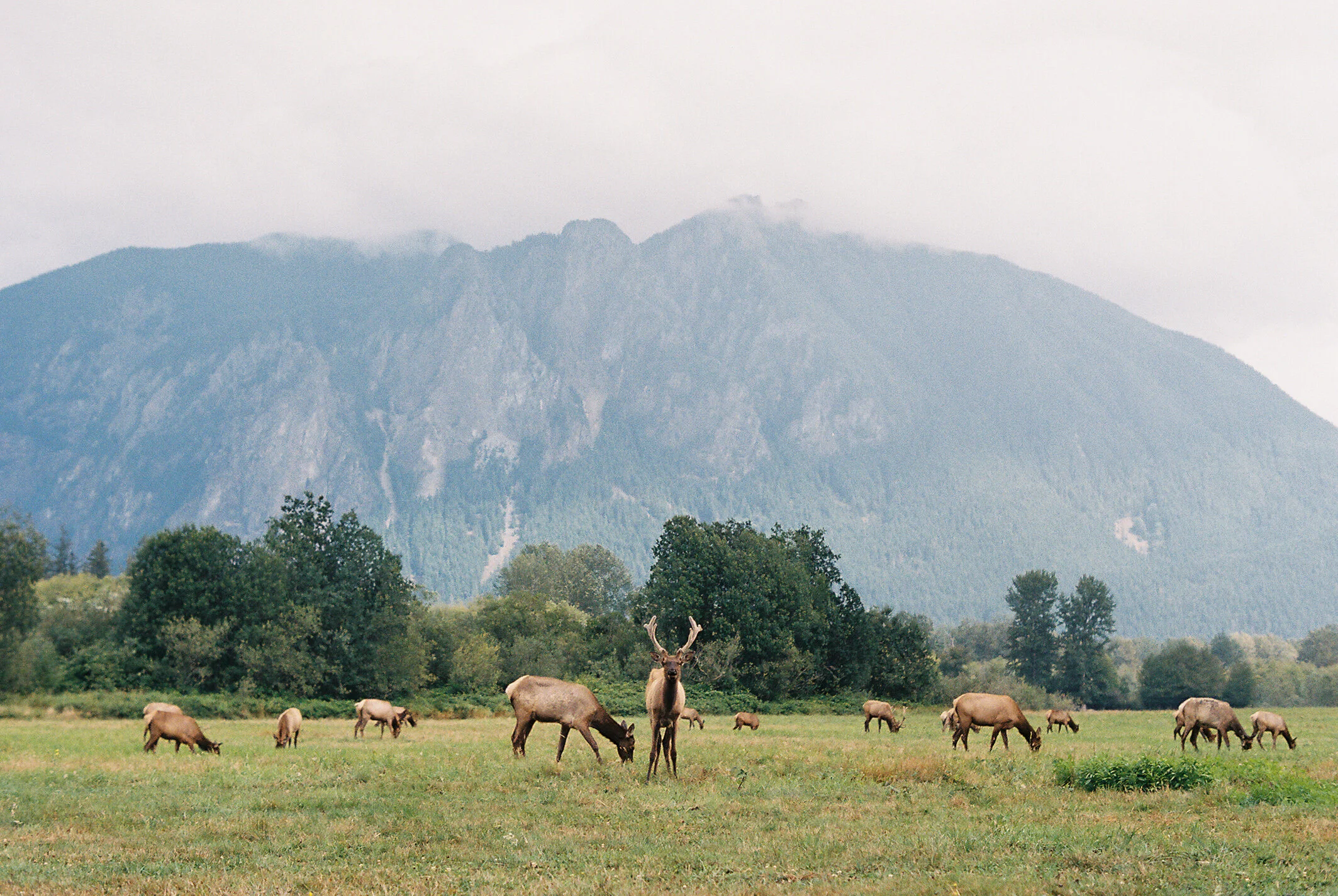 Mount Si shot by Laura Halcón