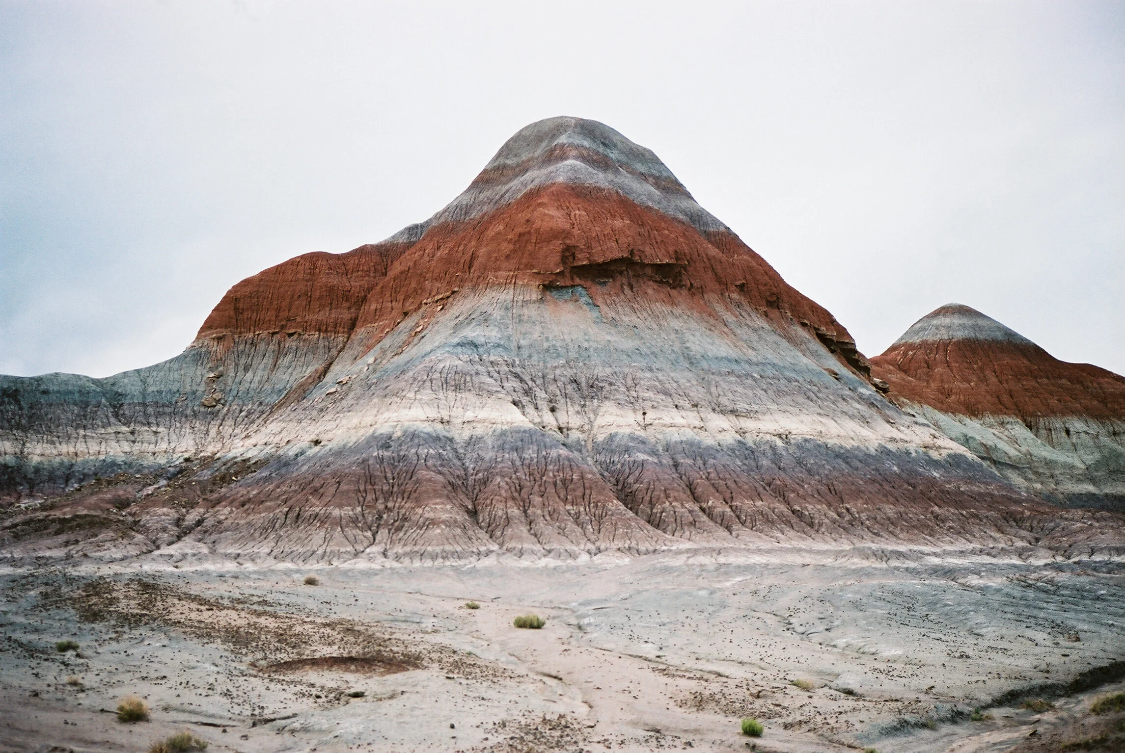 Laura Goldenberger Stay Wild_-305.jpg