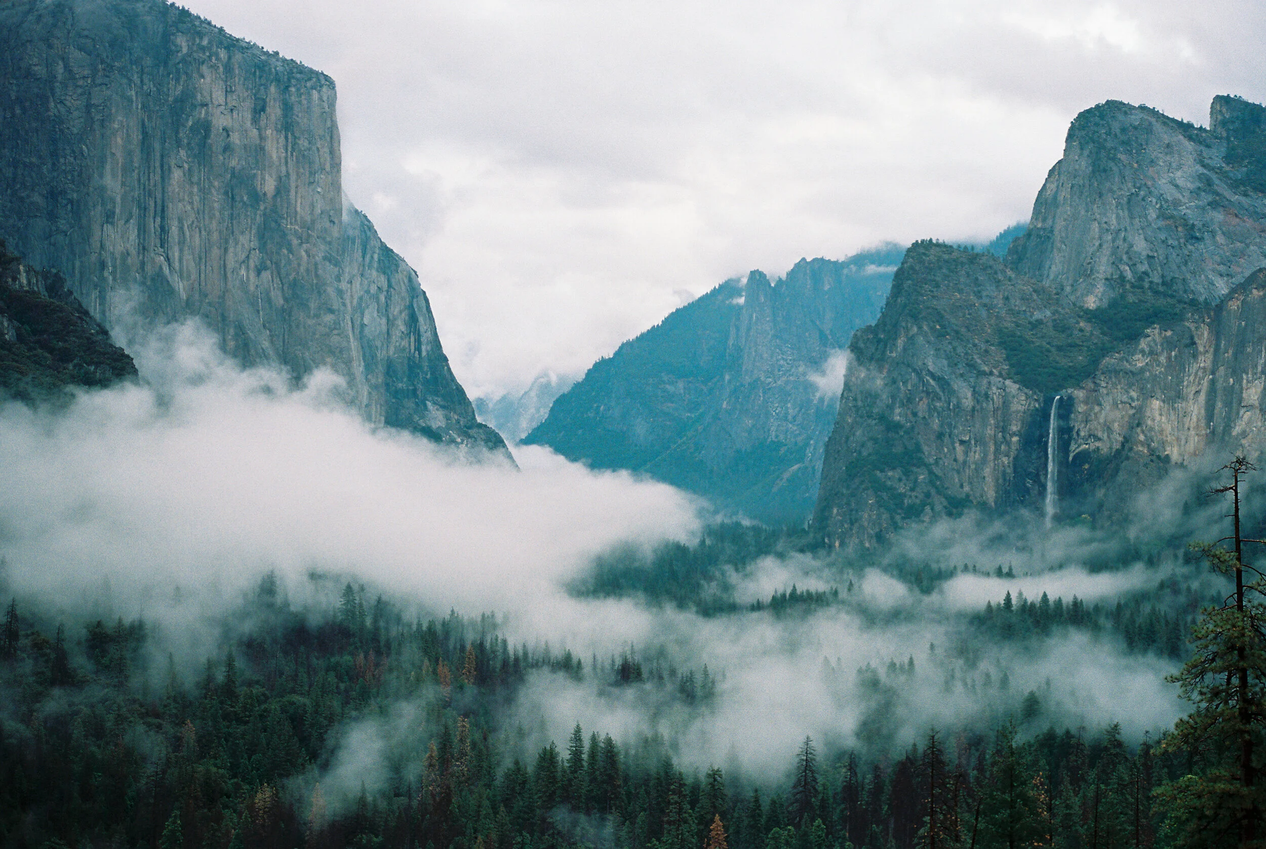 Yosemite shot by Laura Halcón