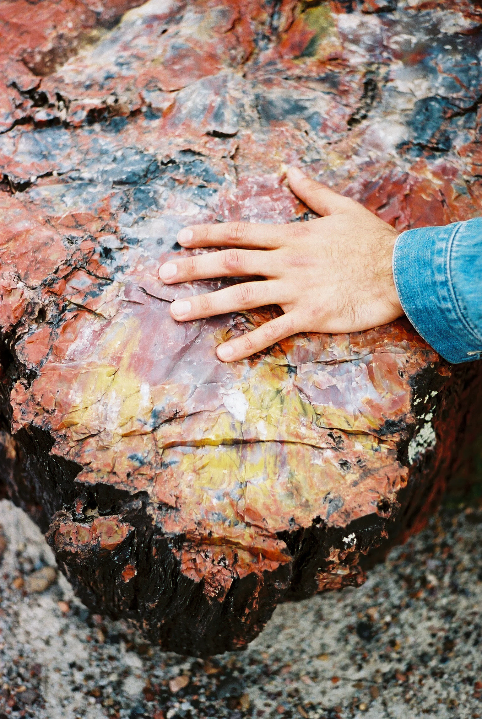 Laura Goldenberger Stay Wild_-254.jpg