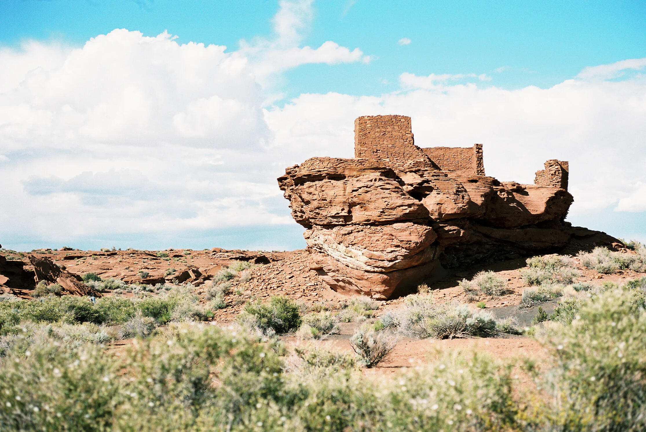 Laura Goldenberger Stay Wild_-131.jpg