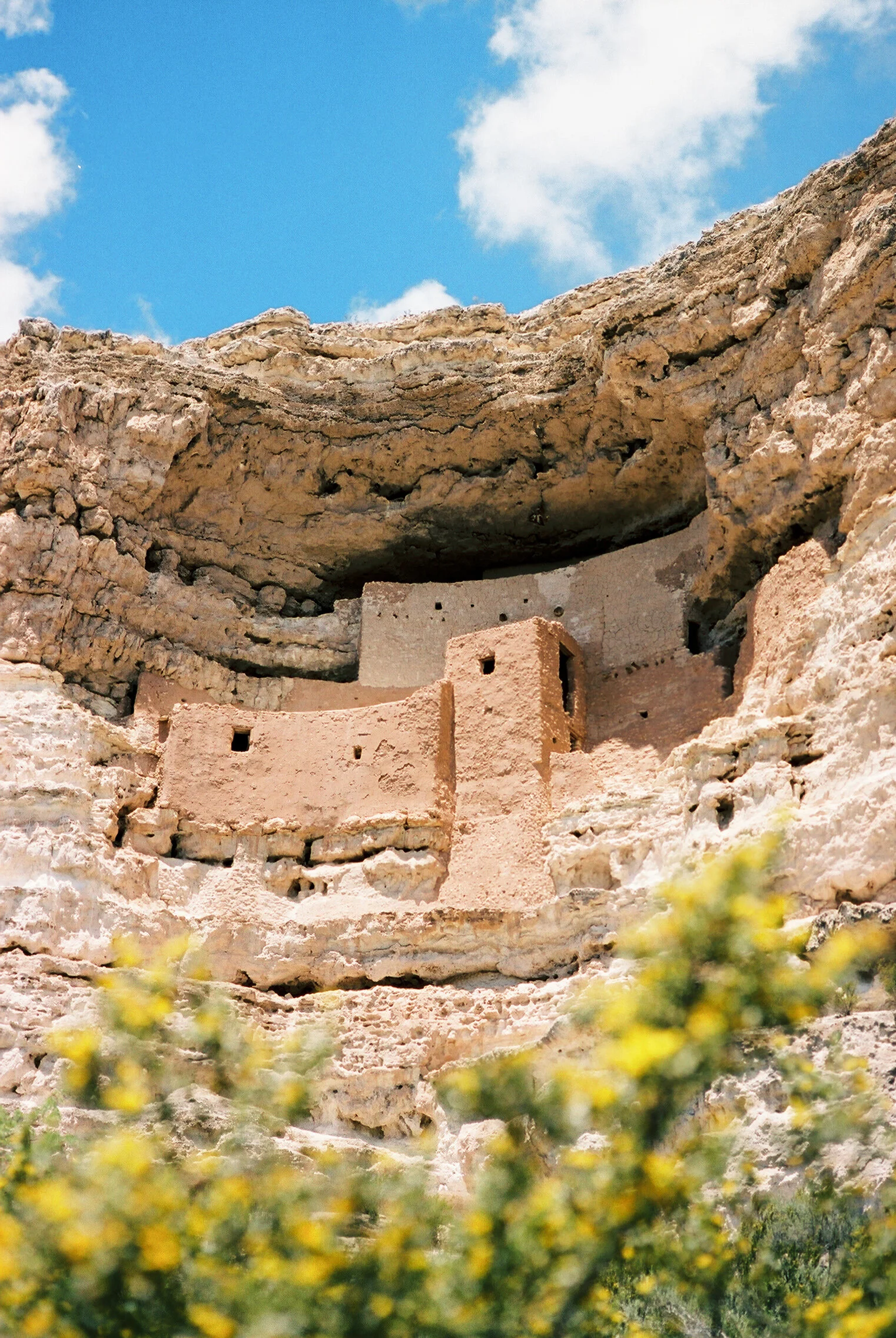 Laura Goldenberger Stay Wild_-2.jpg