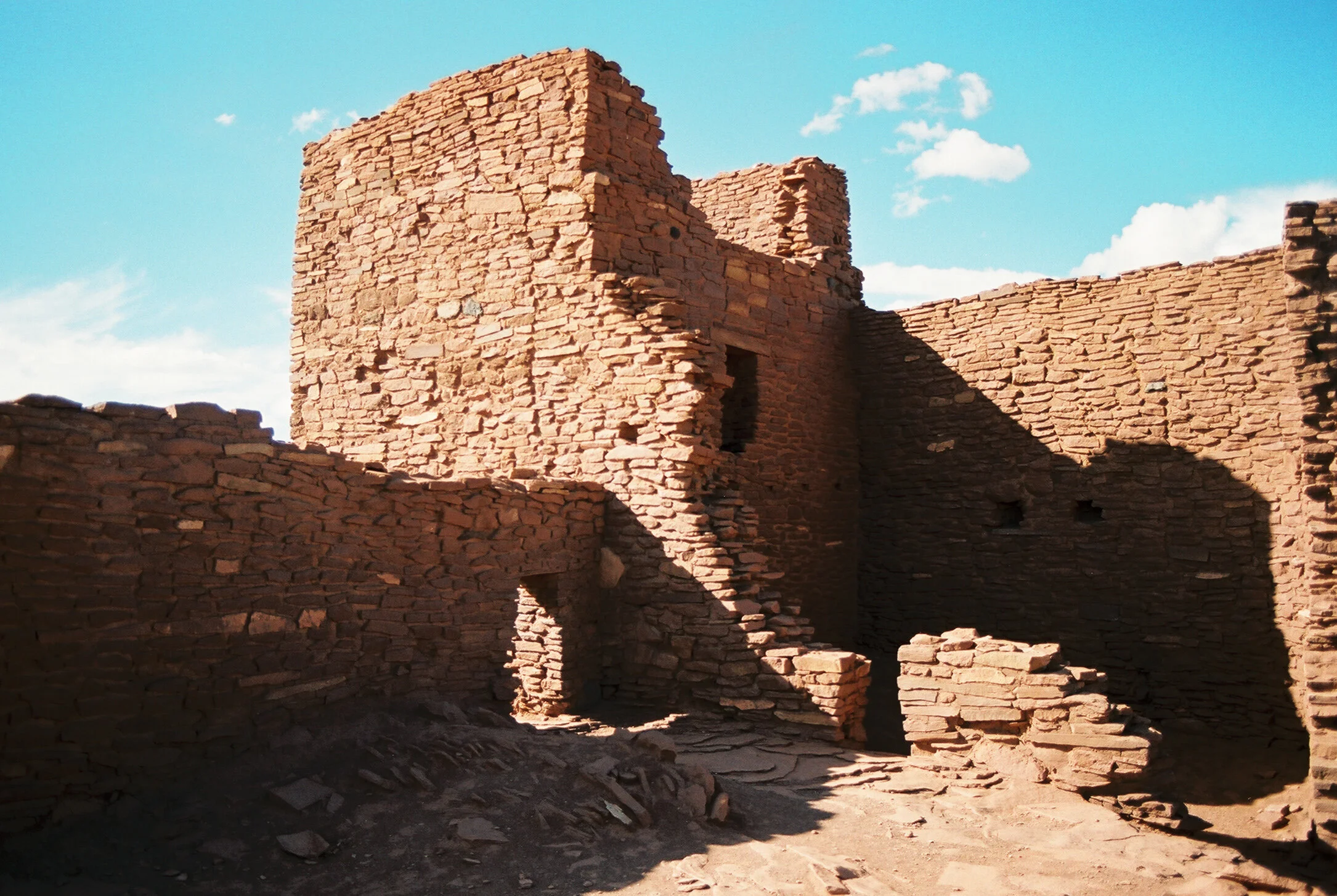 Laura Goldenberger Stay Wild_-138.jpg