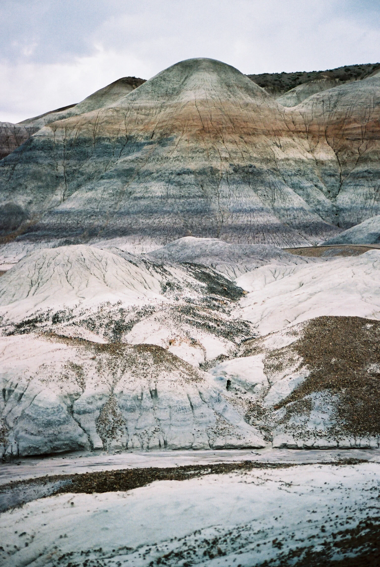 Laura Goldenberger Stay Wild_-333.jpg