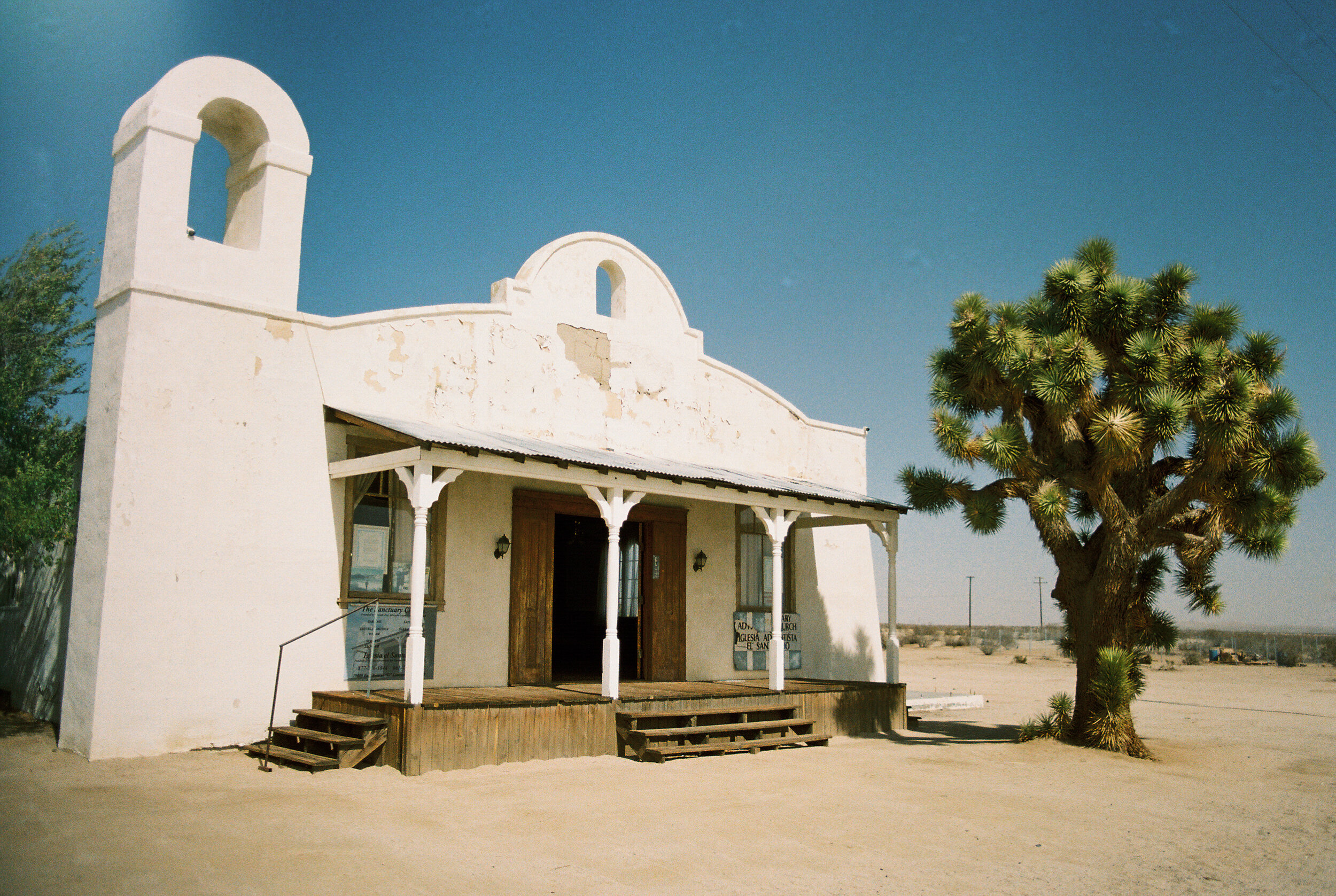 Laura Goldenberger Litas_-5.jpg