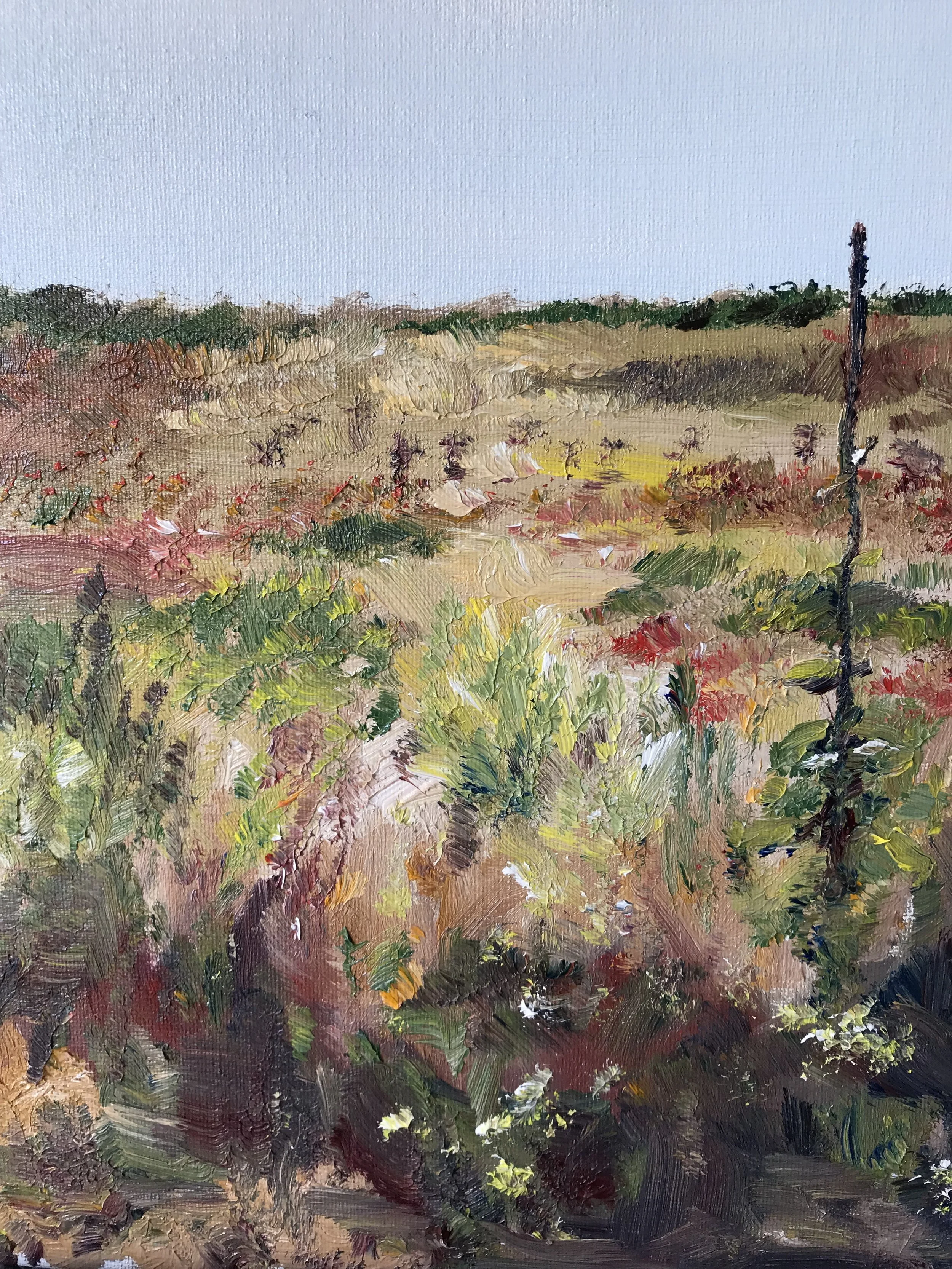 Wildflowers on Shingle Street