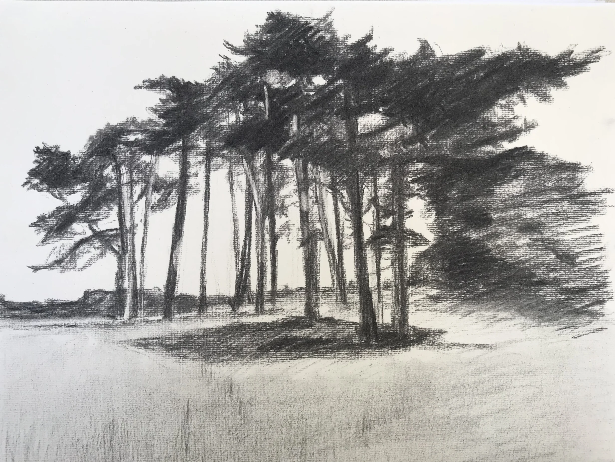 Pines at Sudbourne