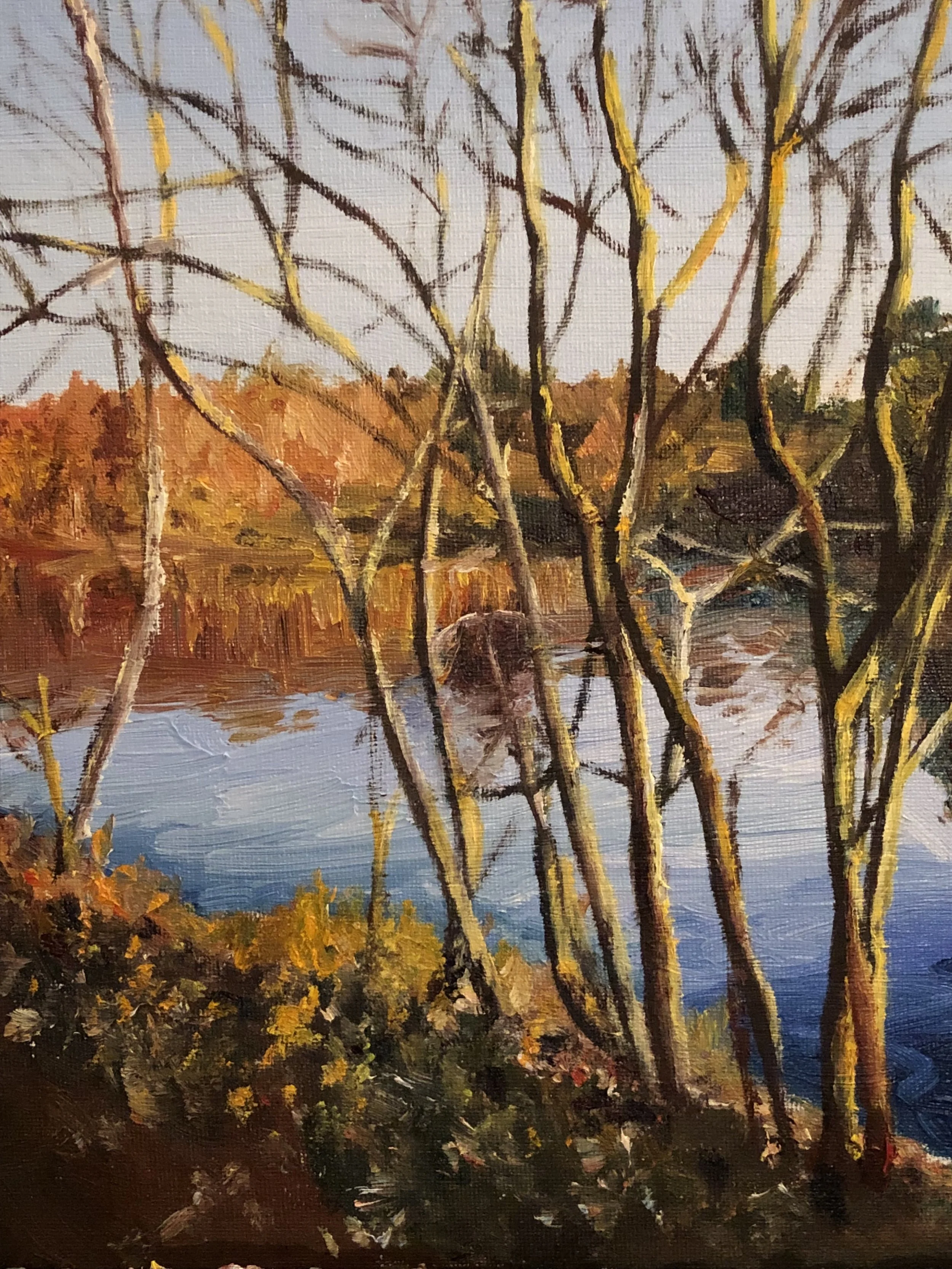 Lake, Winter Sun