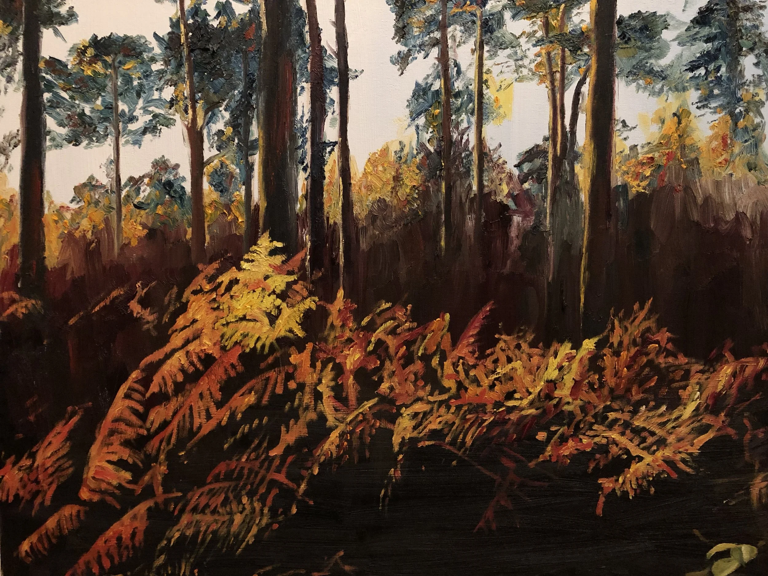 Bracken