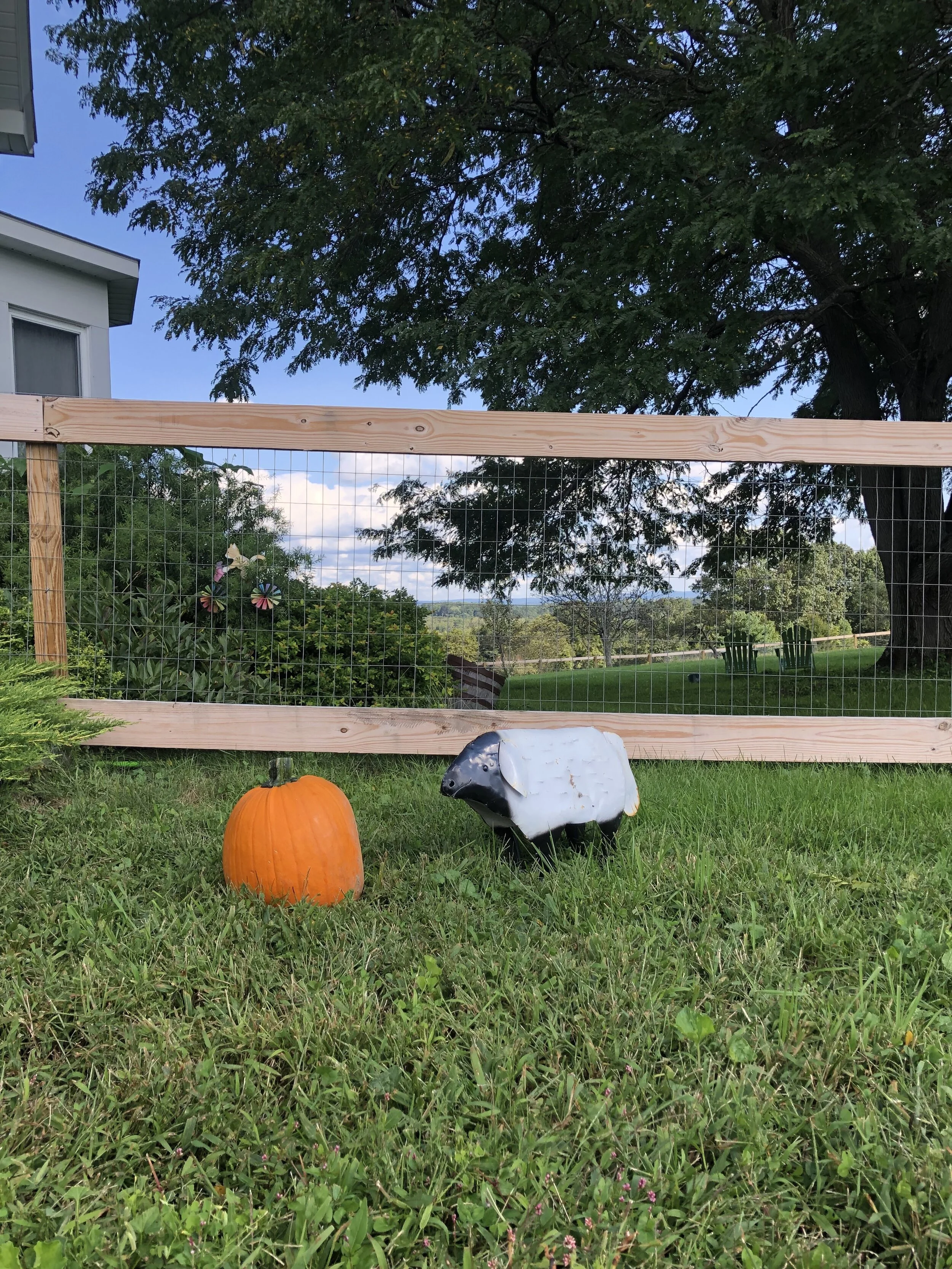 fall.jpg