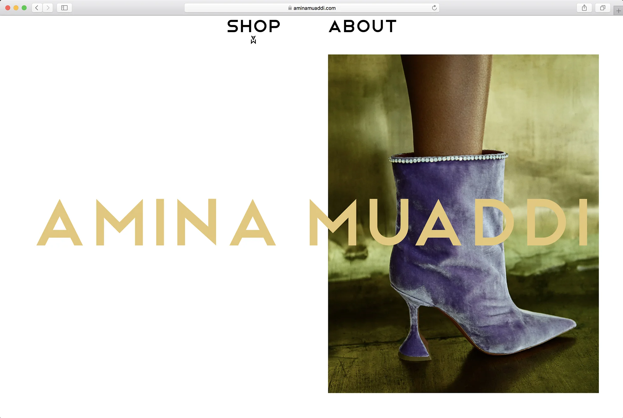 website.jpg
