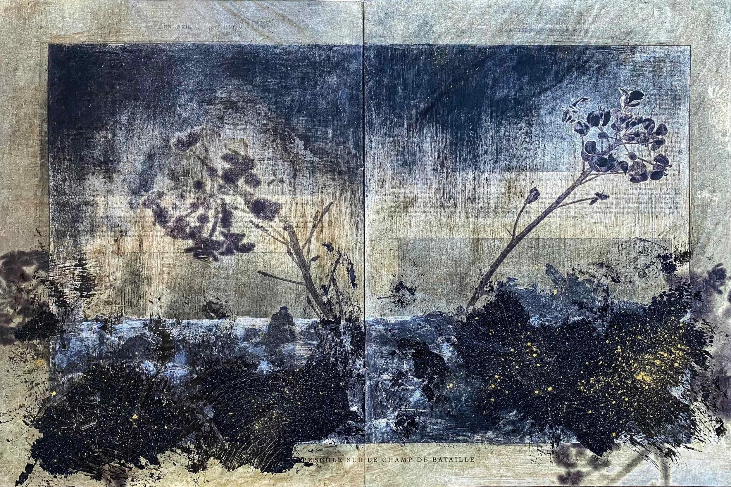 L’herbe aux yeux bleus Sophie Zénon La Chambre Strasbourg