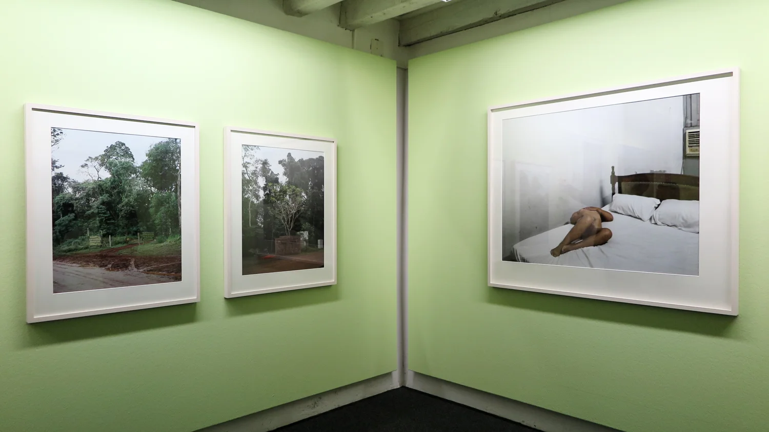 Comunidad , Puerto Iguazú, 2014 | Hotel Iru-Mercure , Selva d'Iryapú, Puerto Iguazú 2014 | Mariposa , Asuncion, 2014