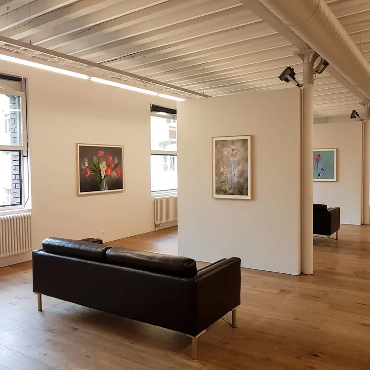 THE SECRET GARDEN – SONJA MARIA SCHOBINGER | GALERIE 94
