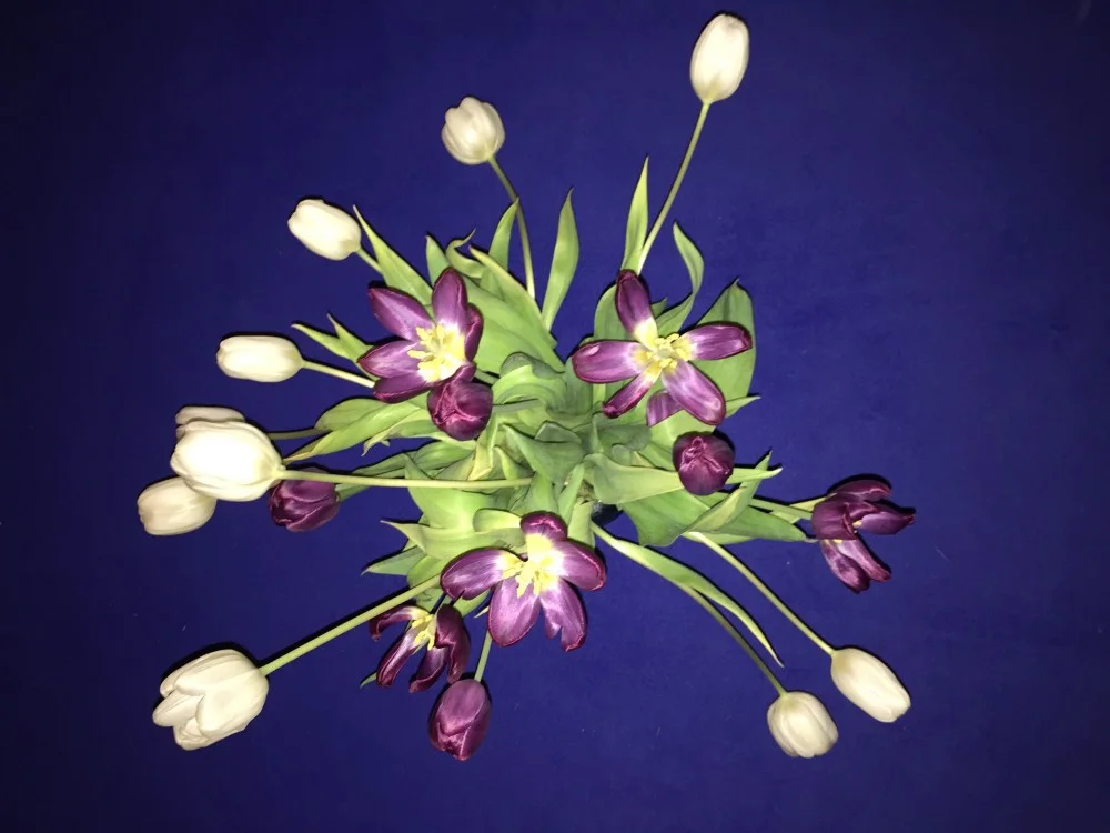 les fleurs de l'art | Never Stop Reading