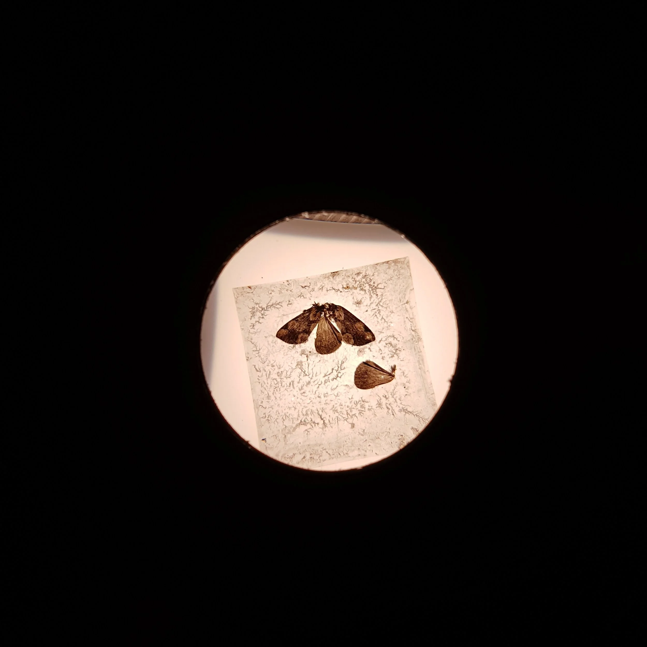 20171209_143839.jpg