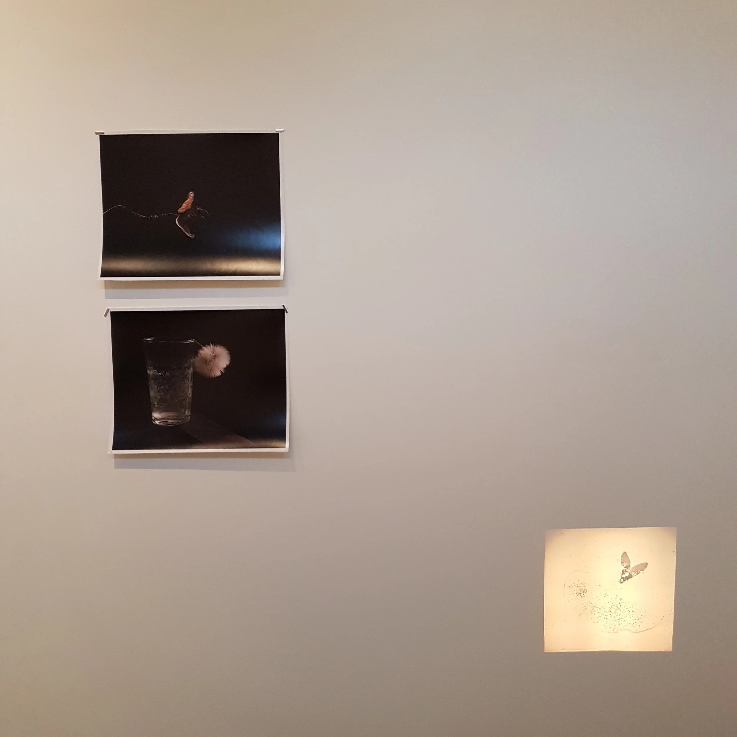 20171209_143859.jpg