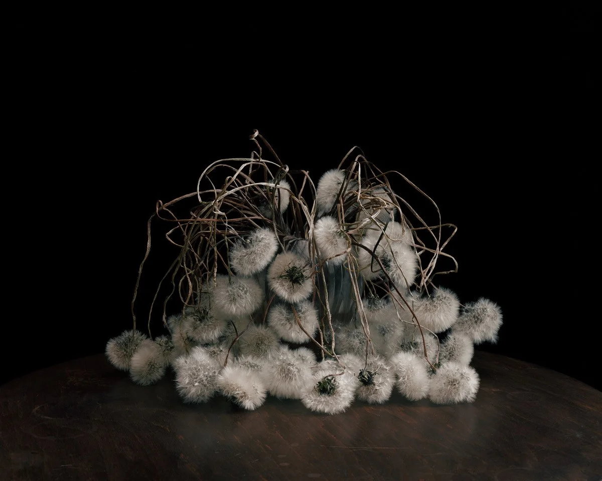 Flowers IX | Brigitte Lustenberger