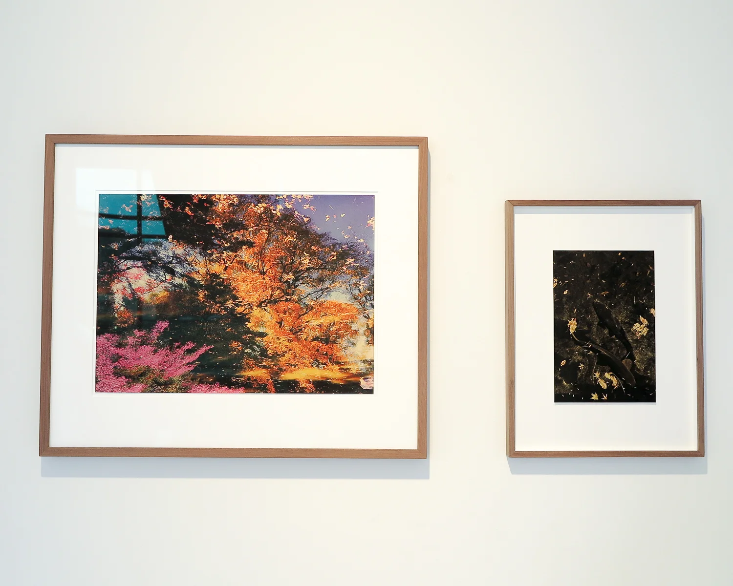 Remembering the Future – Albarrán Cabrera | Bildhalle