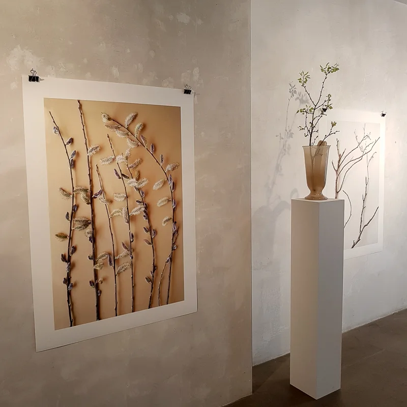 Flowers II | Galerie Béatrice Brunner