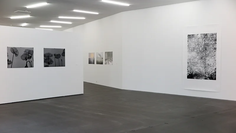 unbenannt-5220.jpg