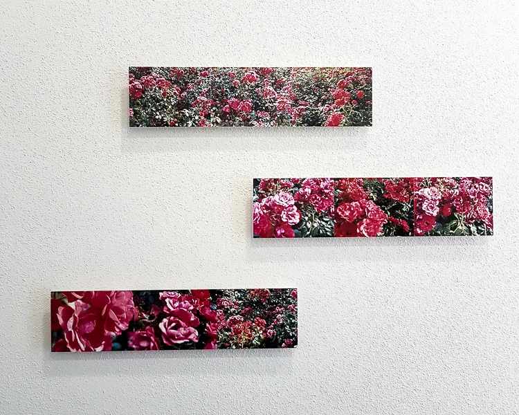 Augenblicke – Kristin Wirthensohn