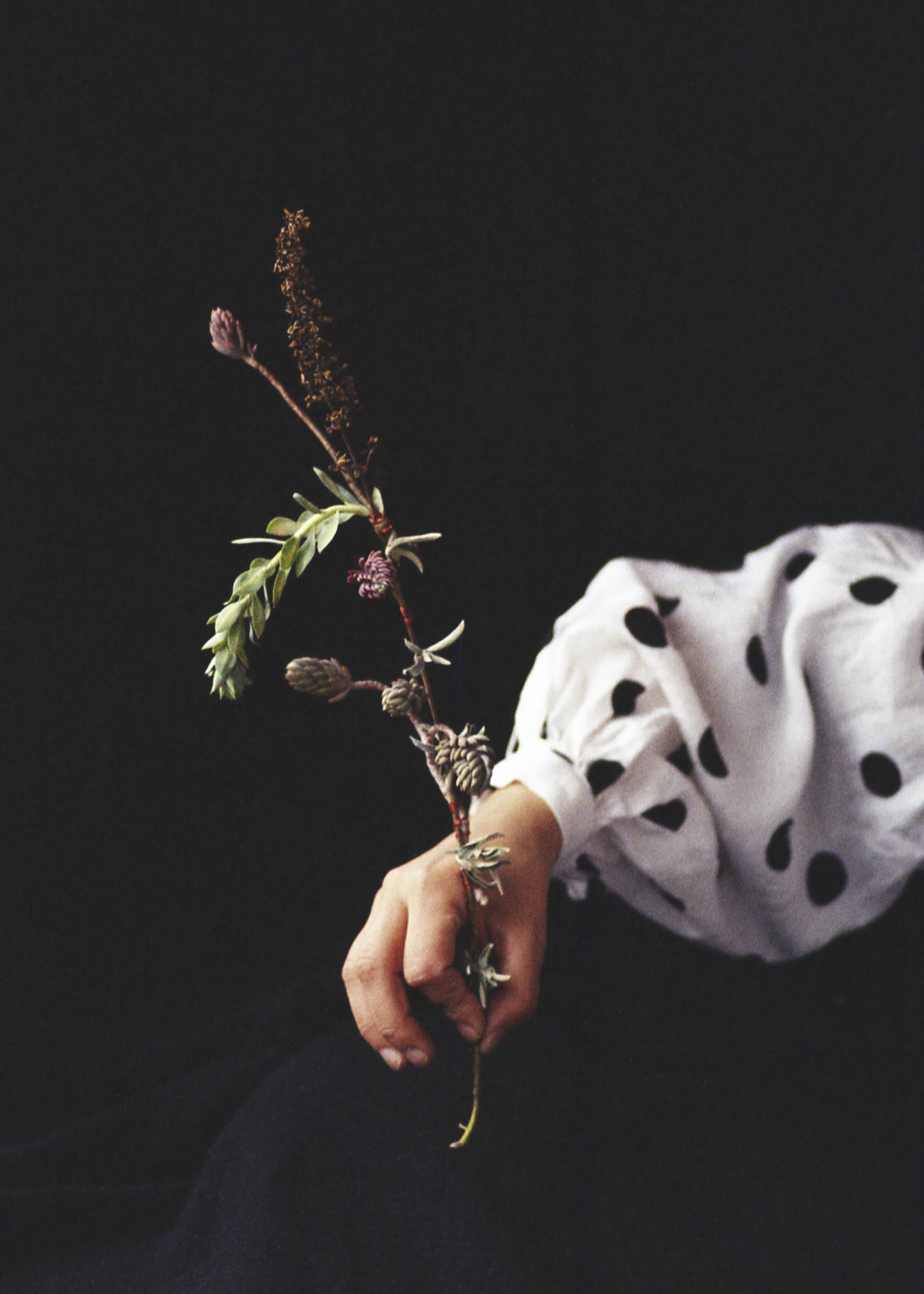 Junge Talente der Fotografie