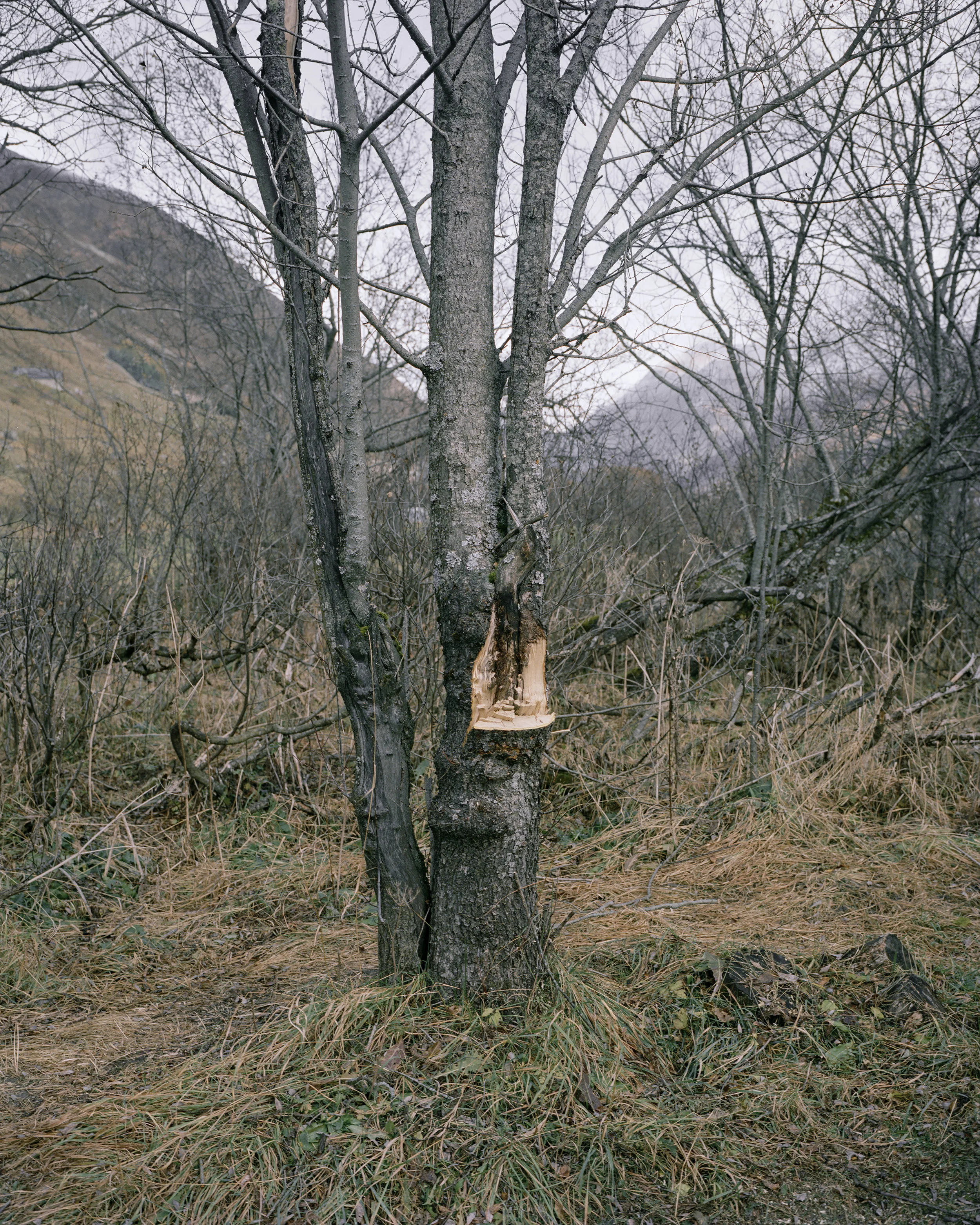 Aus der Serie "Sagen aus Uri" | Christian Indergand
