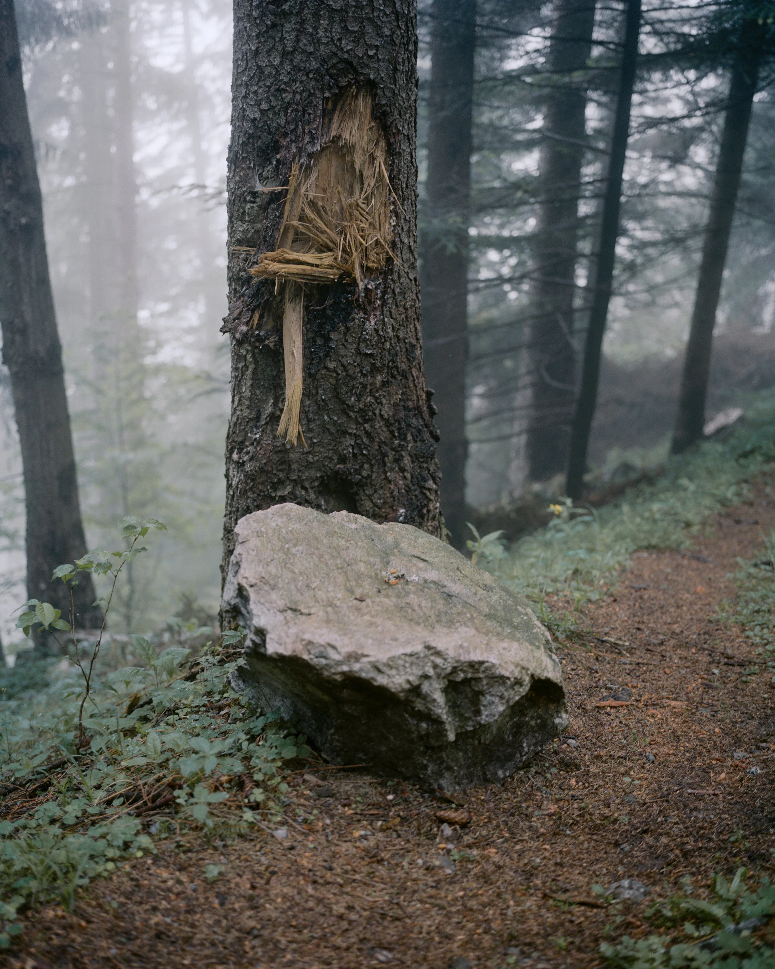 Aus der Serie "Sagen aus Uri" | Christian Indergand