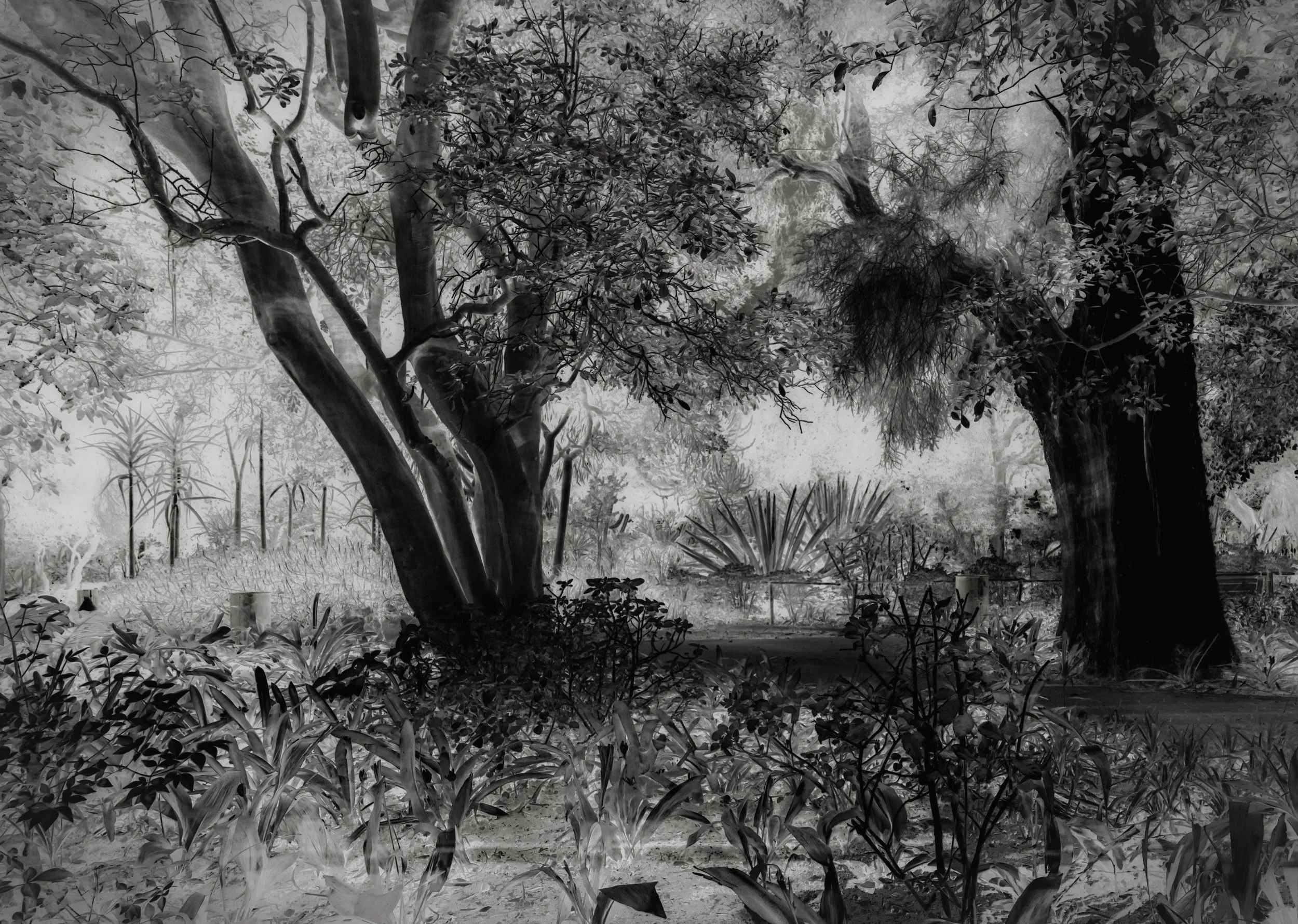 GOODHOPE Hennric Jokeit Untitled 12.jpg