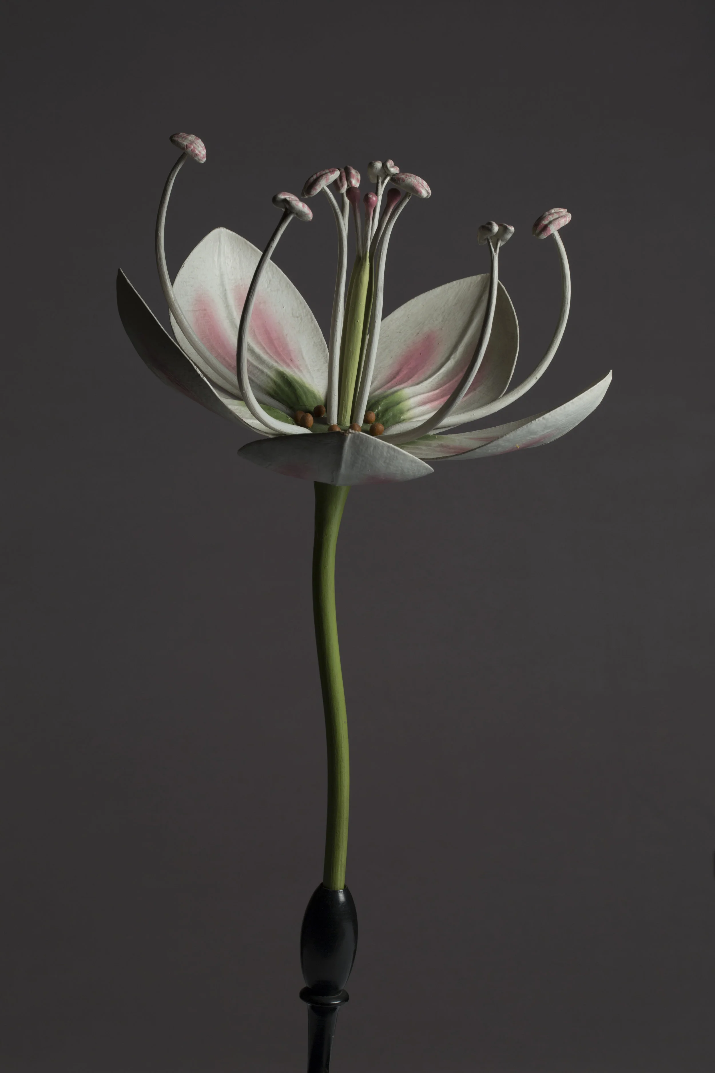 Paragone 2, 2018, Inkjet-Print, Courtesy Galerie Filser & Gräf München © Kai-Uwe Schulte-Bunert