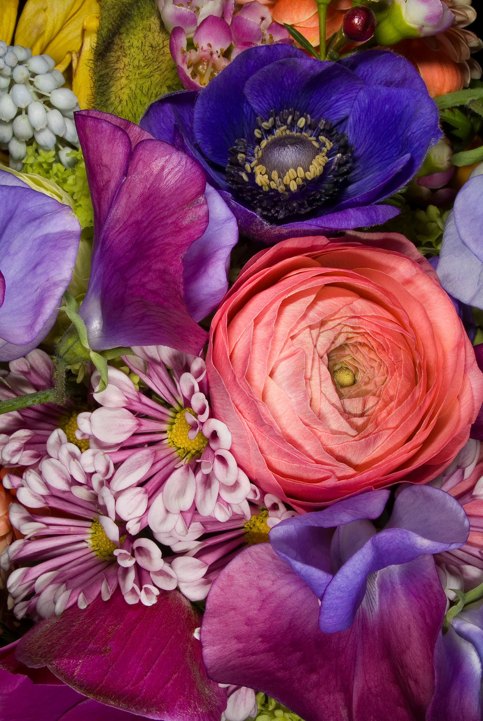 Blossom | Tableau | Anna Halm Schudel