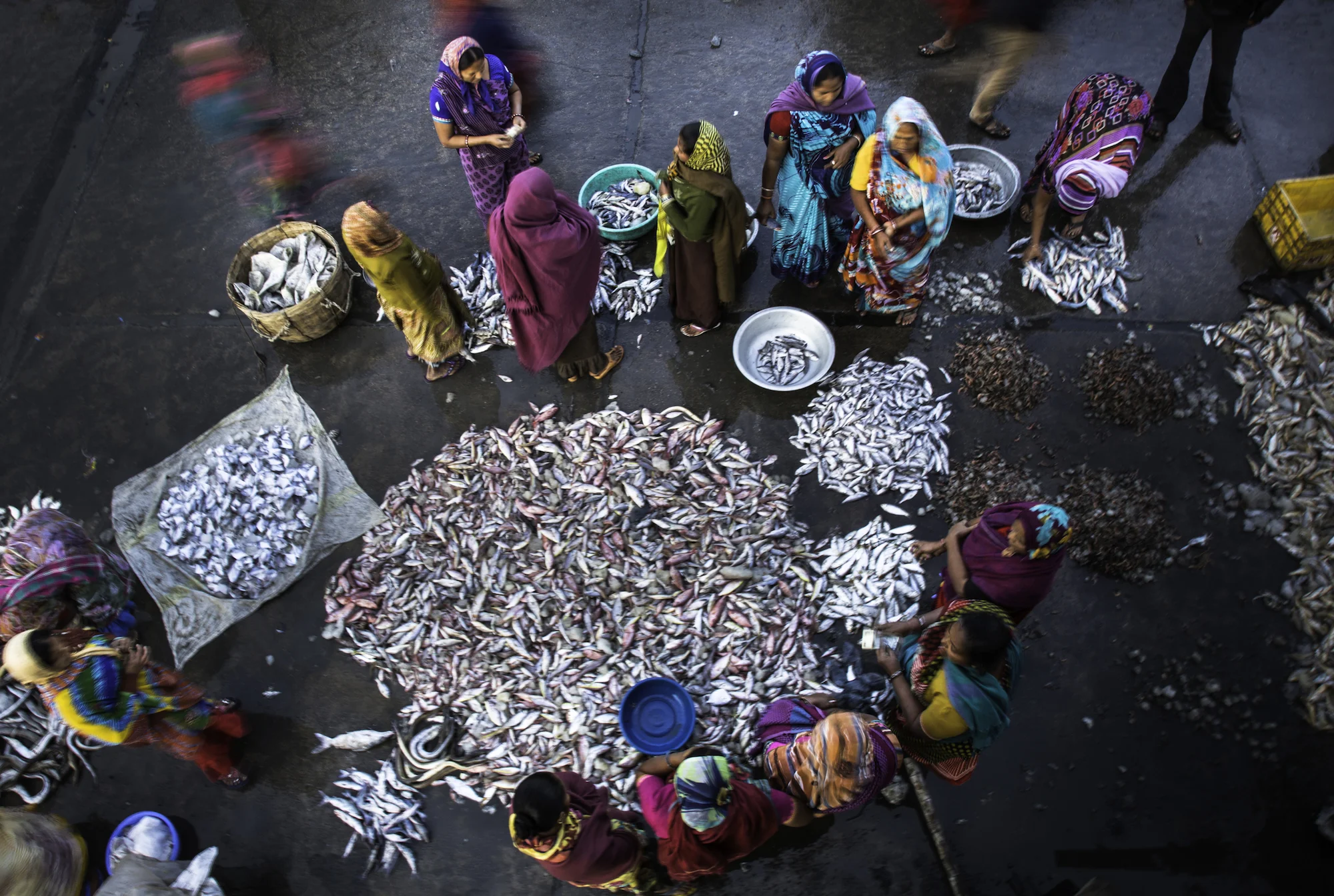 Fischmarkt in Diu.jpg