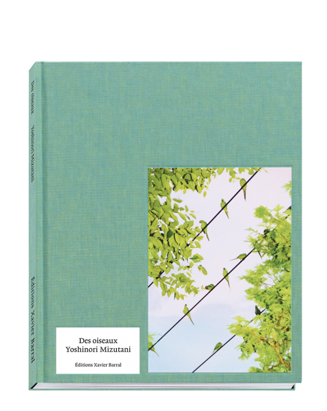 des-oiseaux (9).jpg