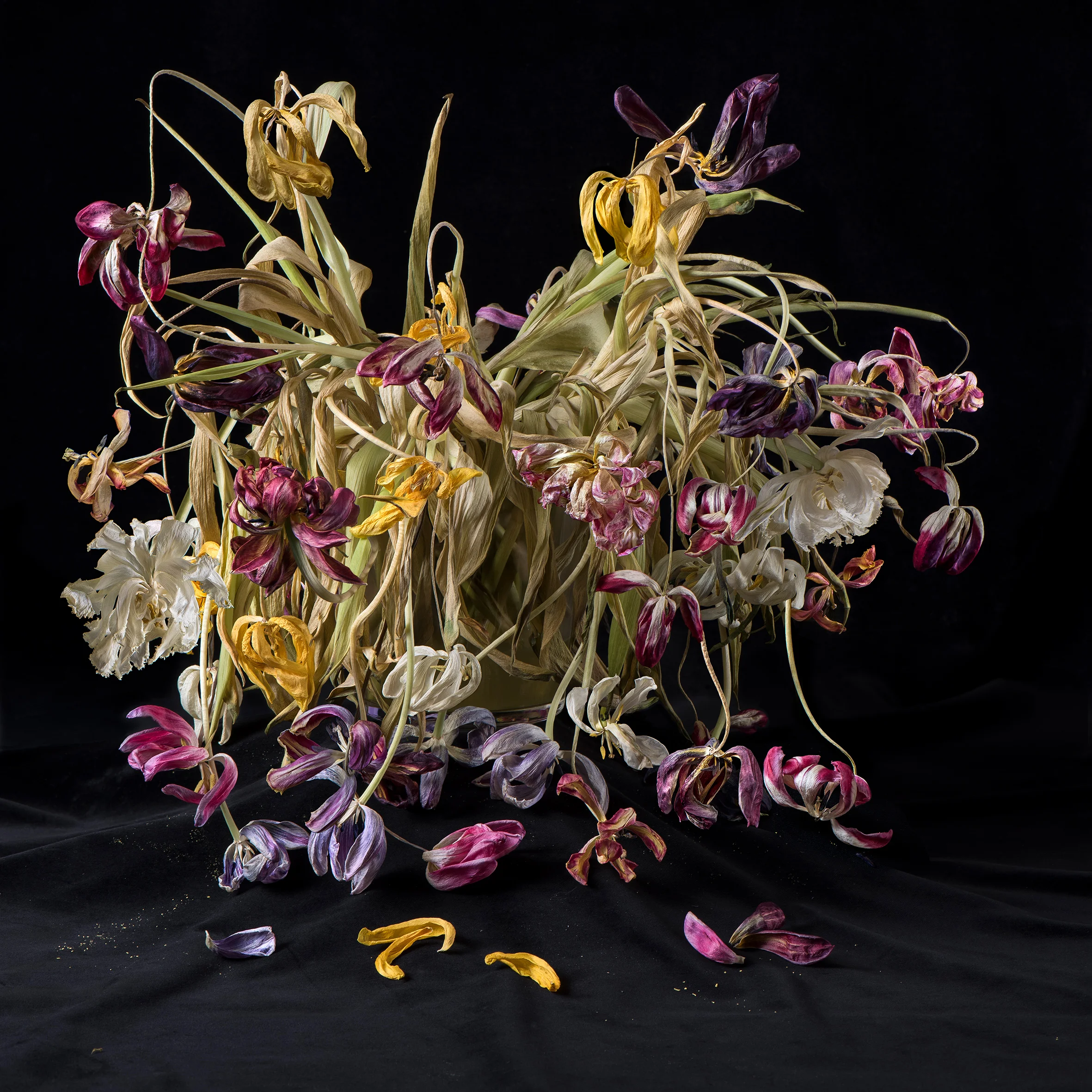 Blossom_Anna-Halm-Schudel_01_Tulpen-Bouquets.jpg
