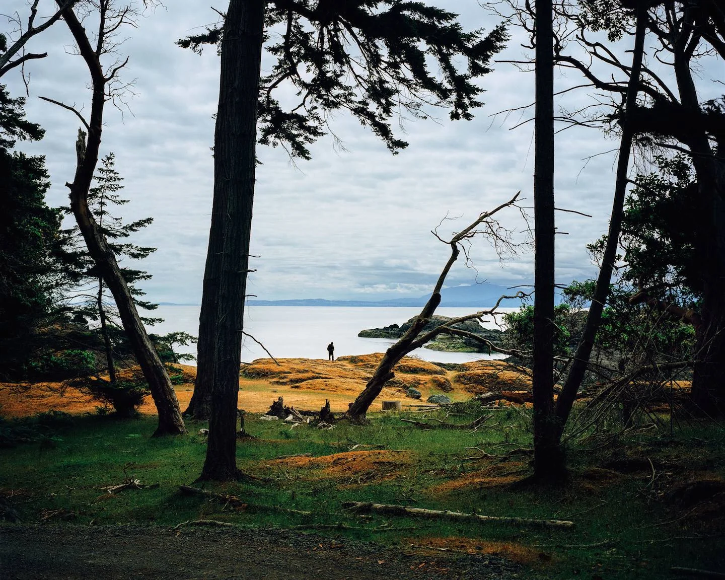 ©-Ryan-Walker_Press-01_MAIN.jpeg