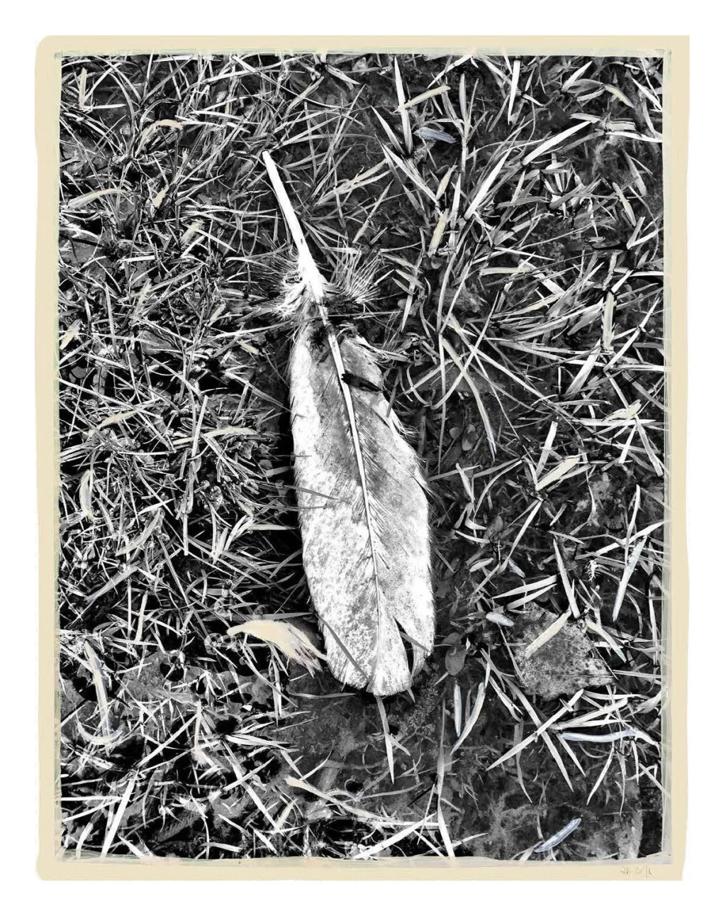 Goosewalk IV, 2015-2018