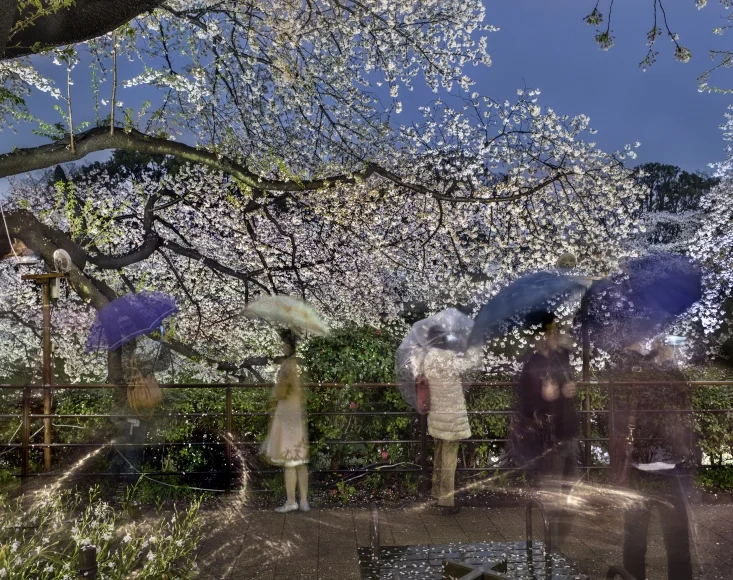 Ausstellung | Then and Now - Matthew Pillsbury | Edwynn Houk Gallery | New York