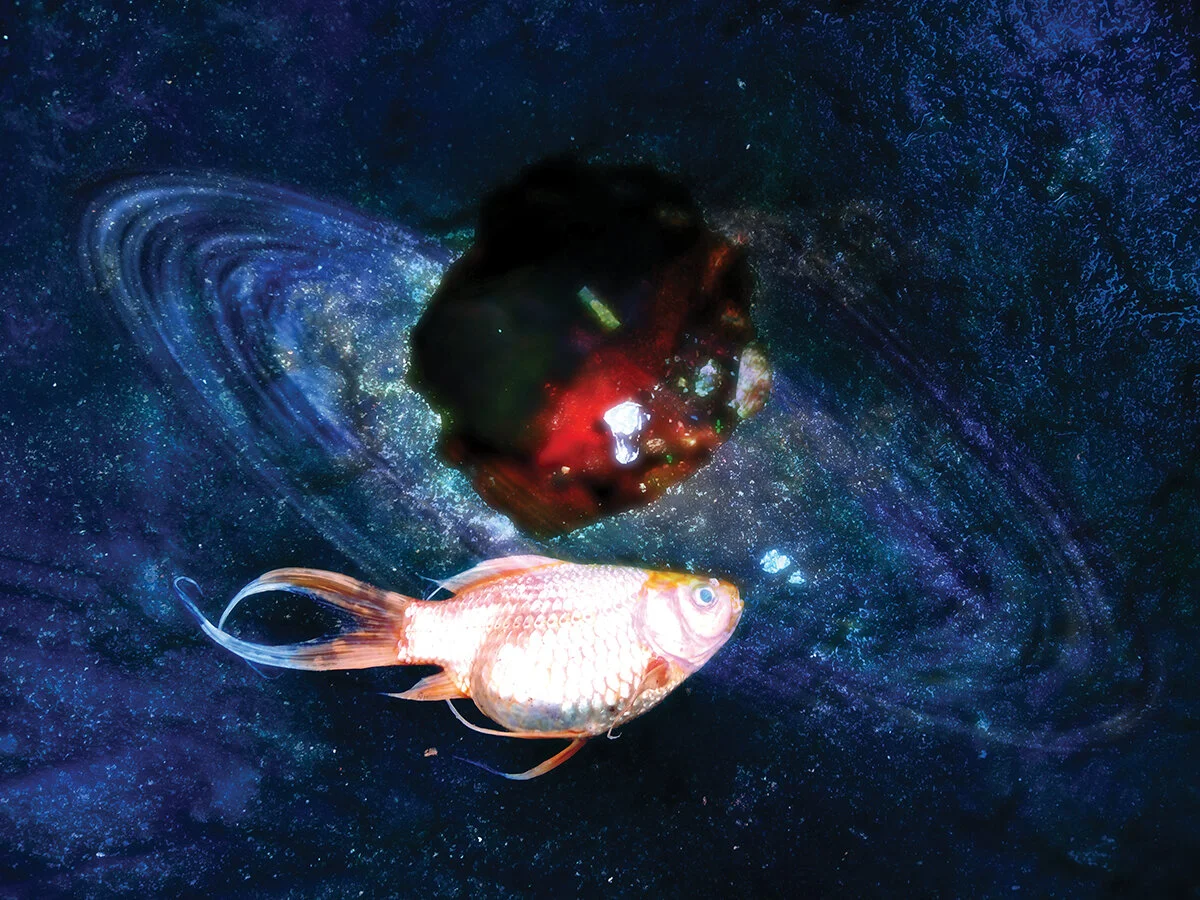 Ausgerechnet Myanmar - im Gespräch mit Lukas Birk...