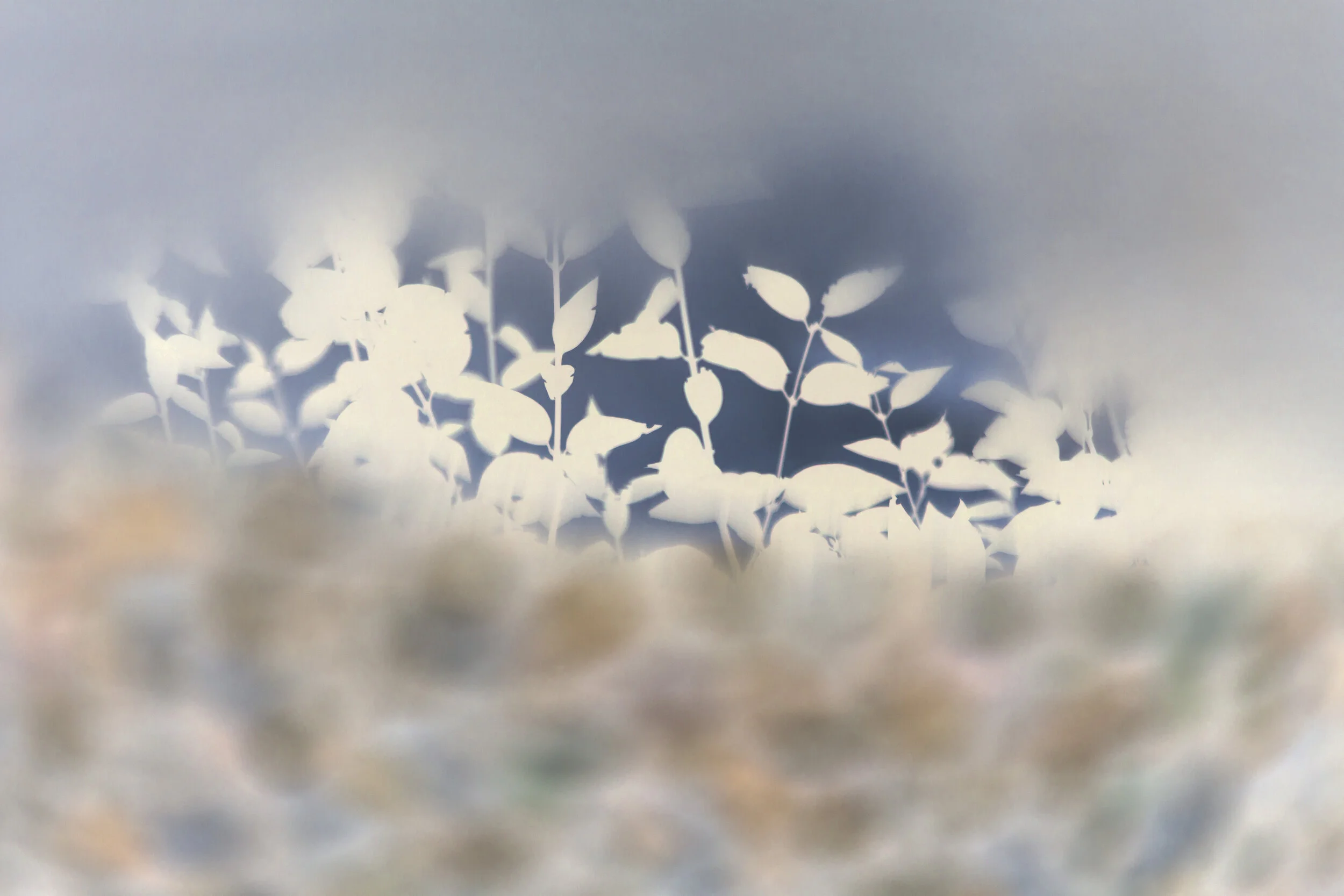 Blick in die Oase…