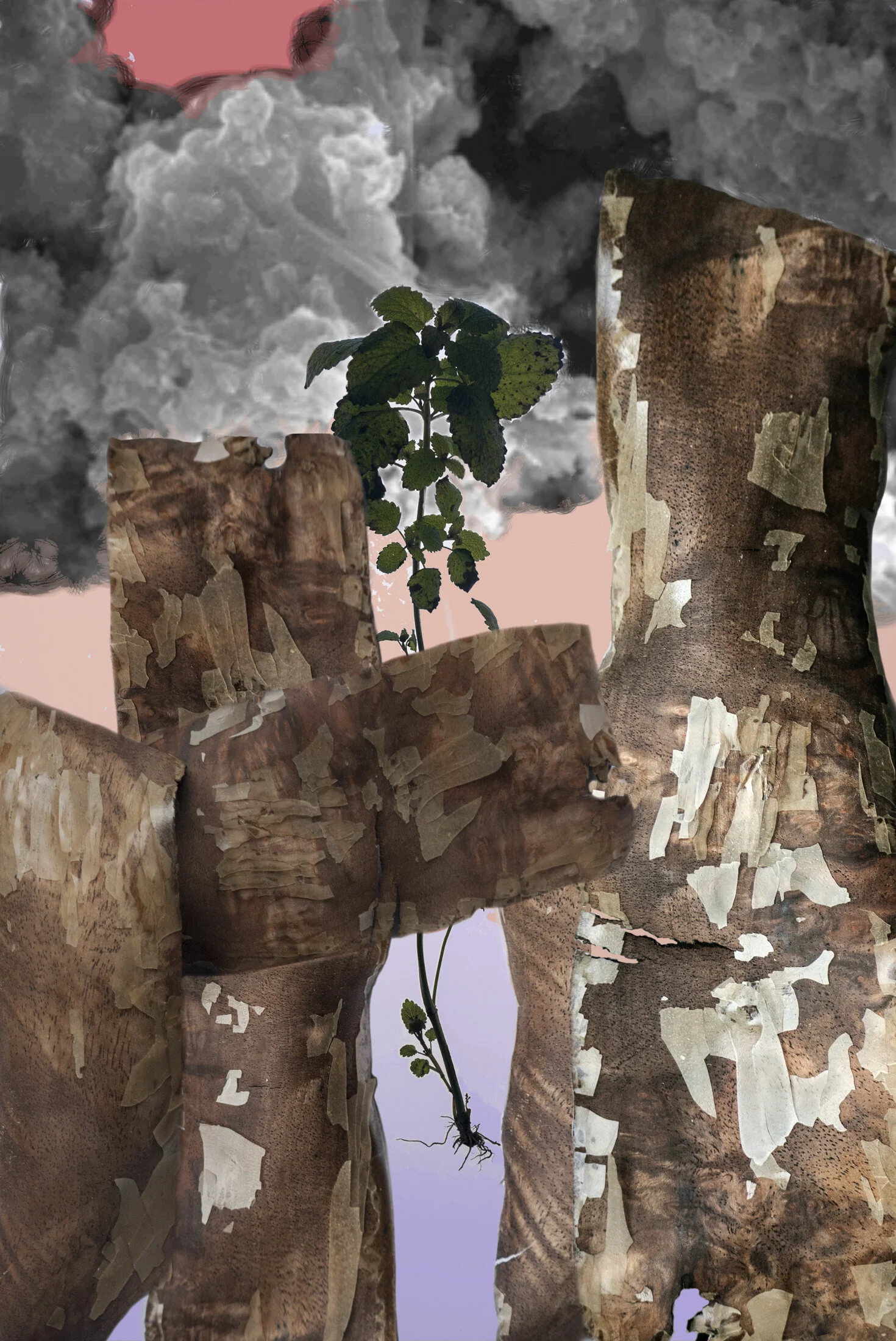 Ausstellung | Das Klima streikt | museumbickel | Walenstadt