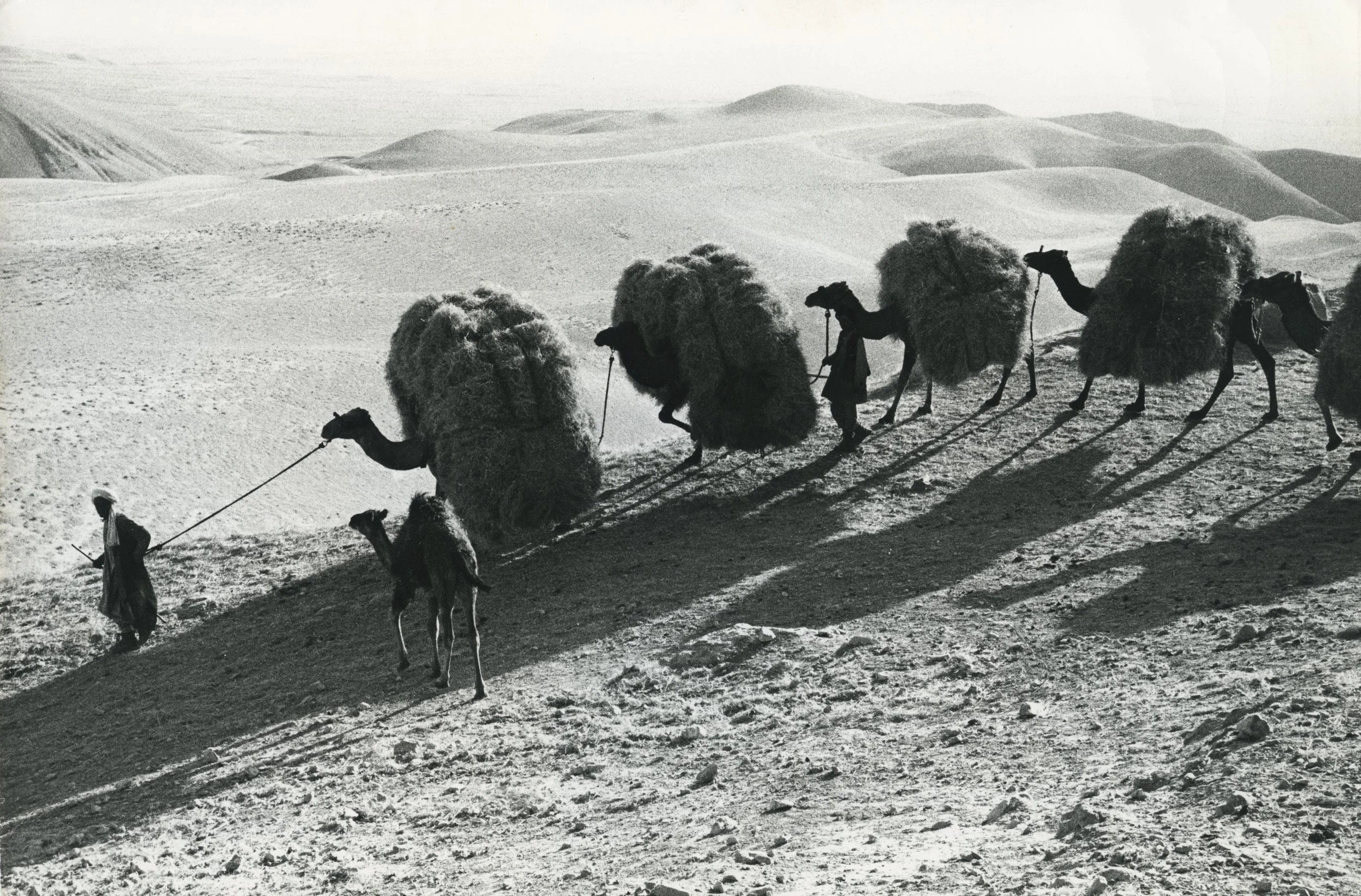Ausstellung | Appenzell in Afghanistan. Unterwegs mit dem Fotografen Herbert Maeder 1967–1970 | Appenzeller Volkskunde-Museum | Stein
