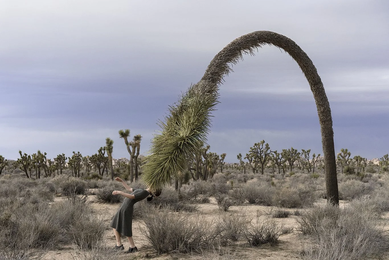 Openairausstellung | As Usual - Brooke DiDonato | Clervaux - cité de l'image | Clervaux