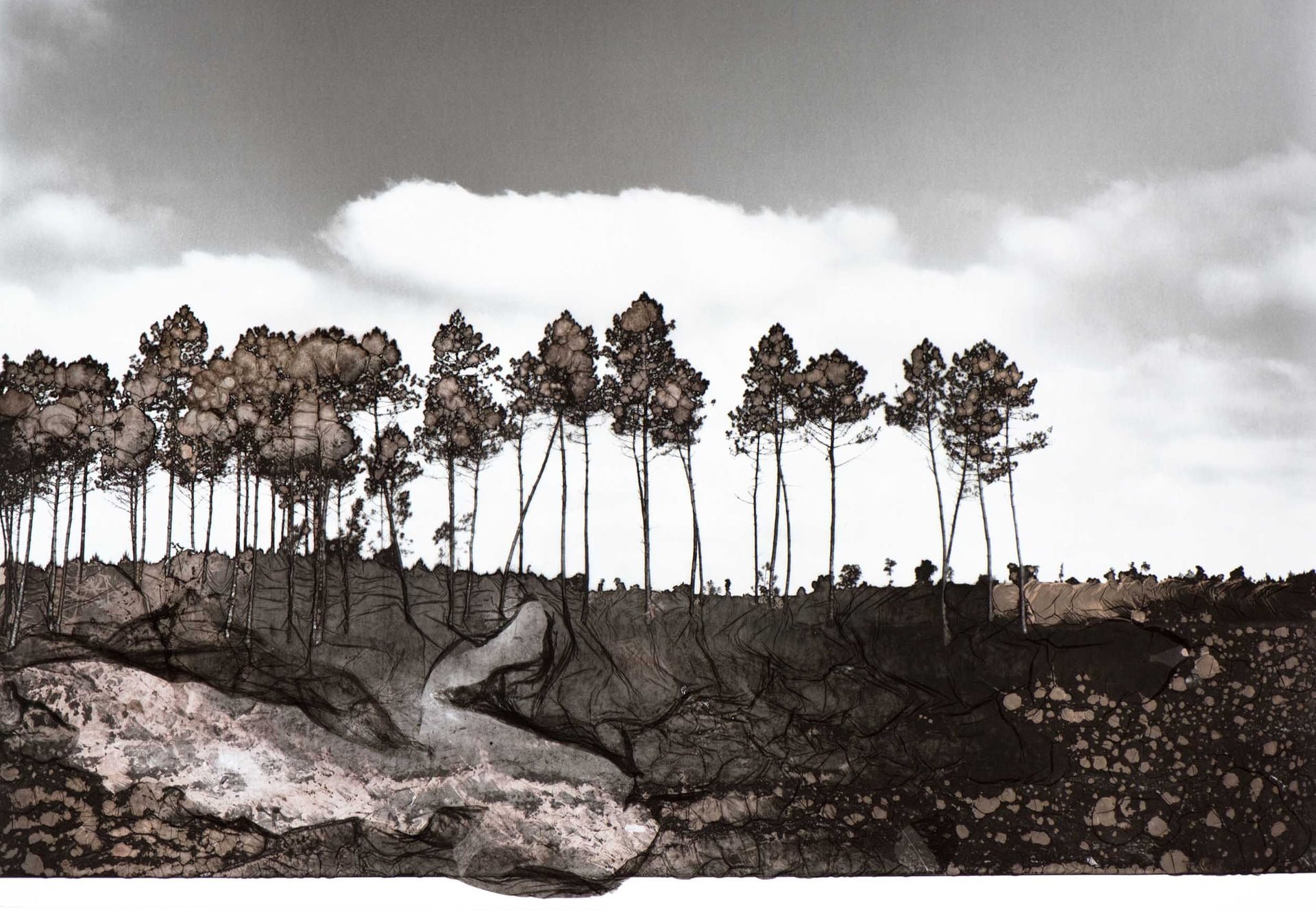Le murmure du vent - Fabienne Percheron | L'ANGLE | Hendaye