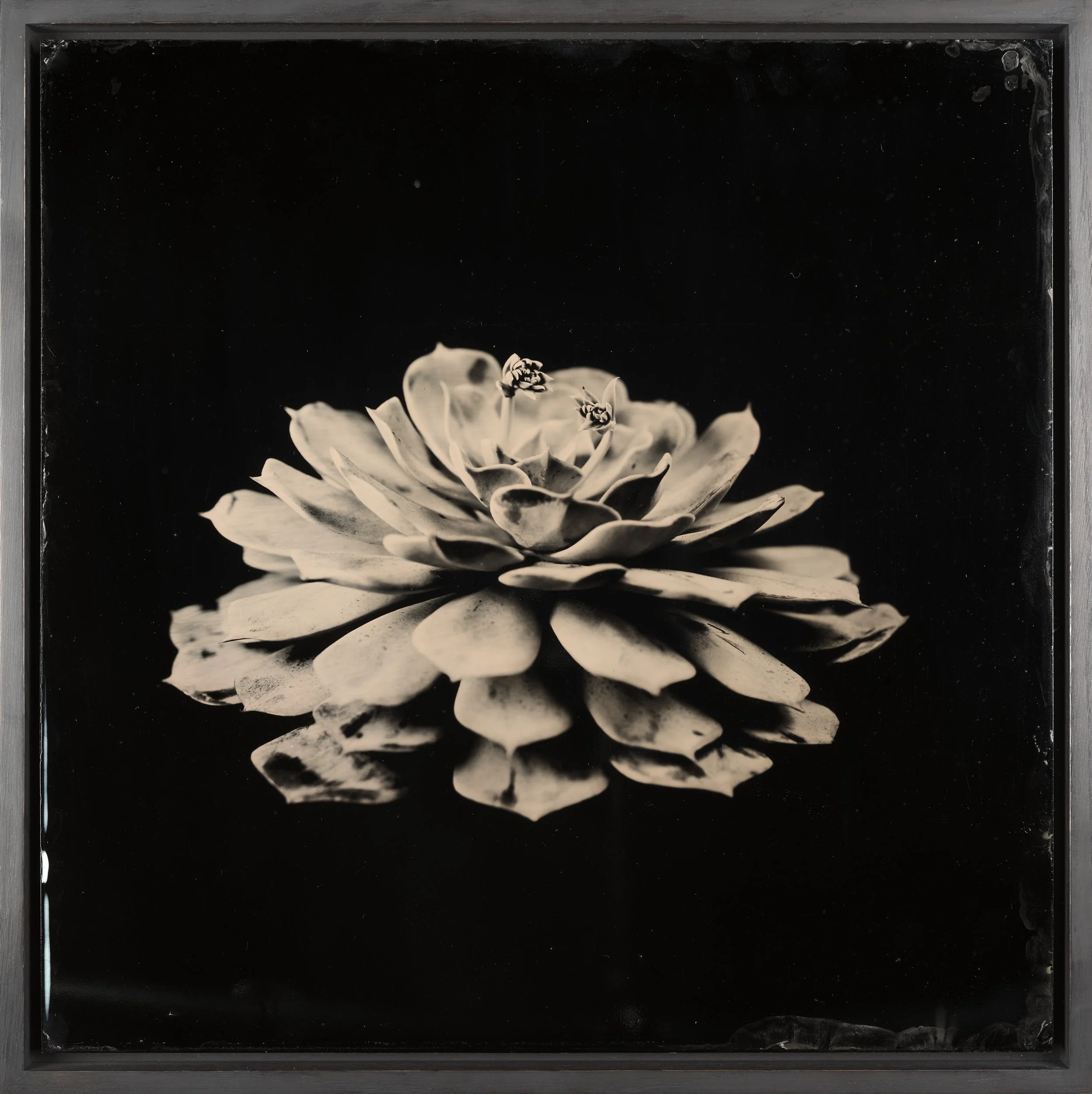 Der Stille am nächsten - Steffen Diemer | Leica Galerie Salzburg